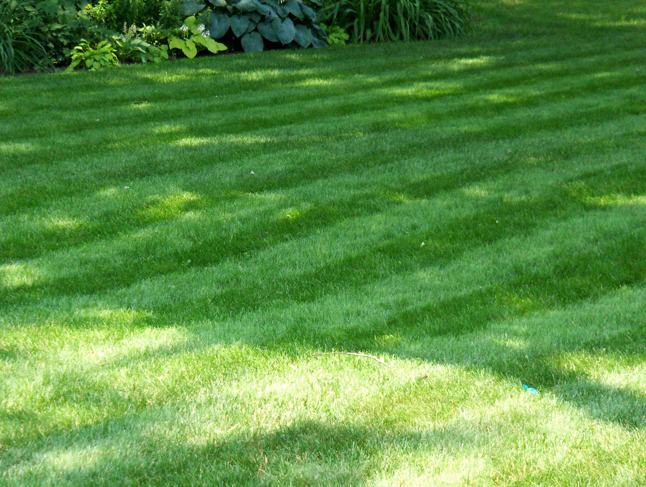 How to Stripe Your Lawn (with Pictures) Instructables