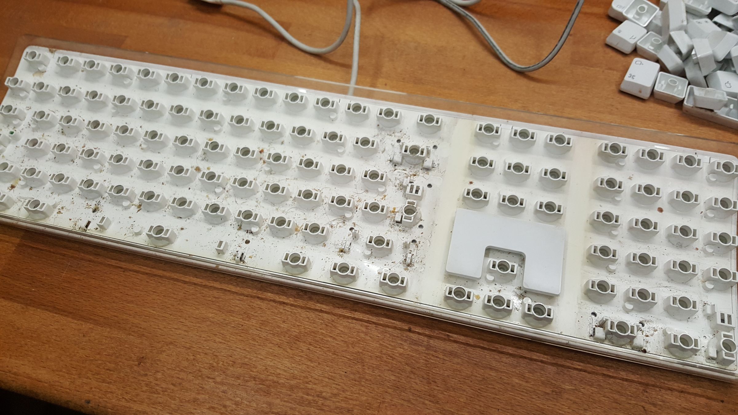 Restoring an Apple A1048 Keyboard 6 Steps (with Pictures) Instructables