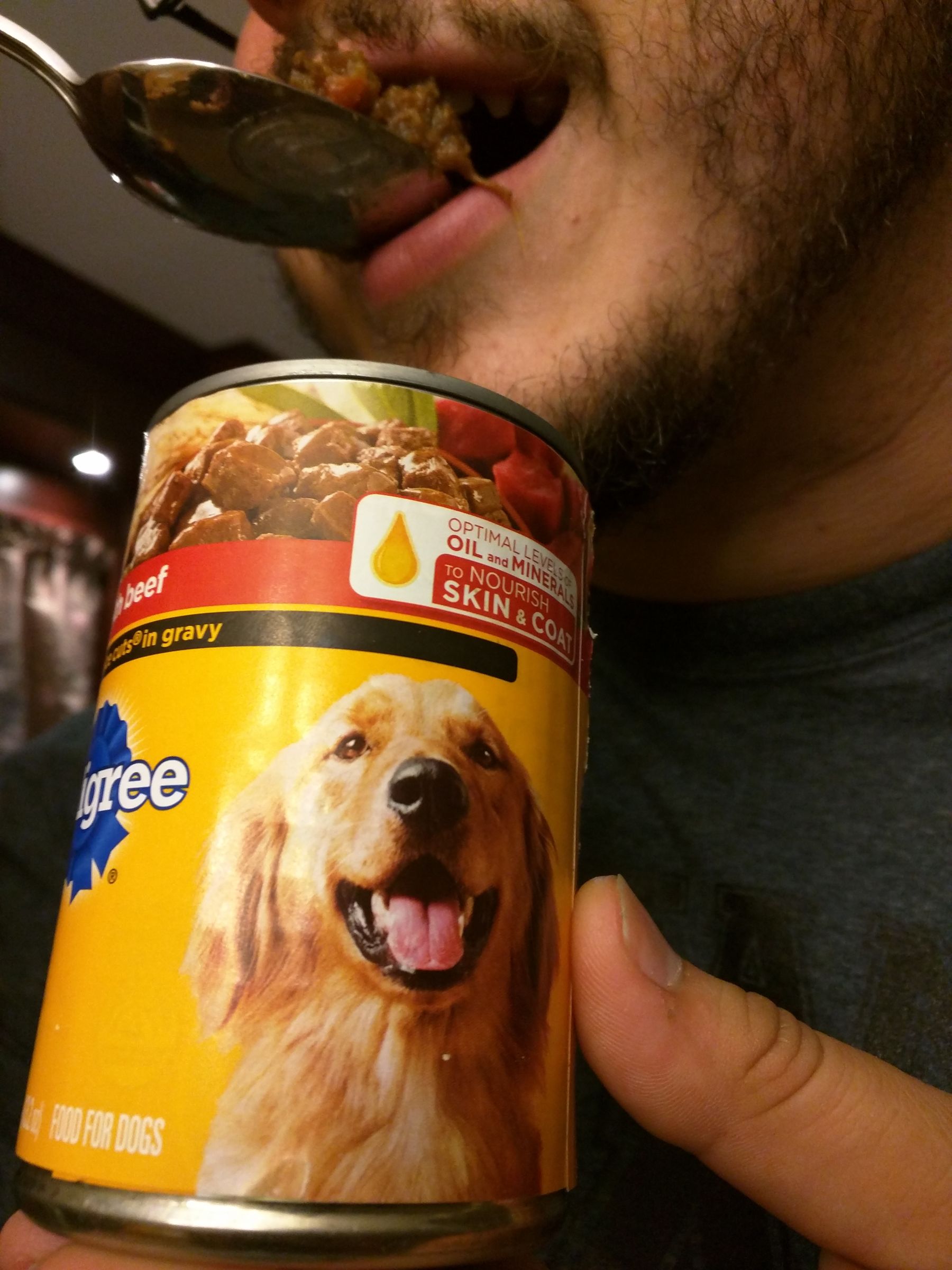 How to Eat Dog Food. 6 Steps (with Pictures) Instructables