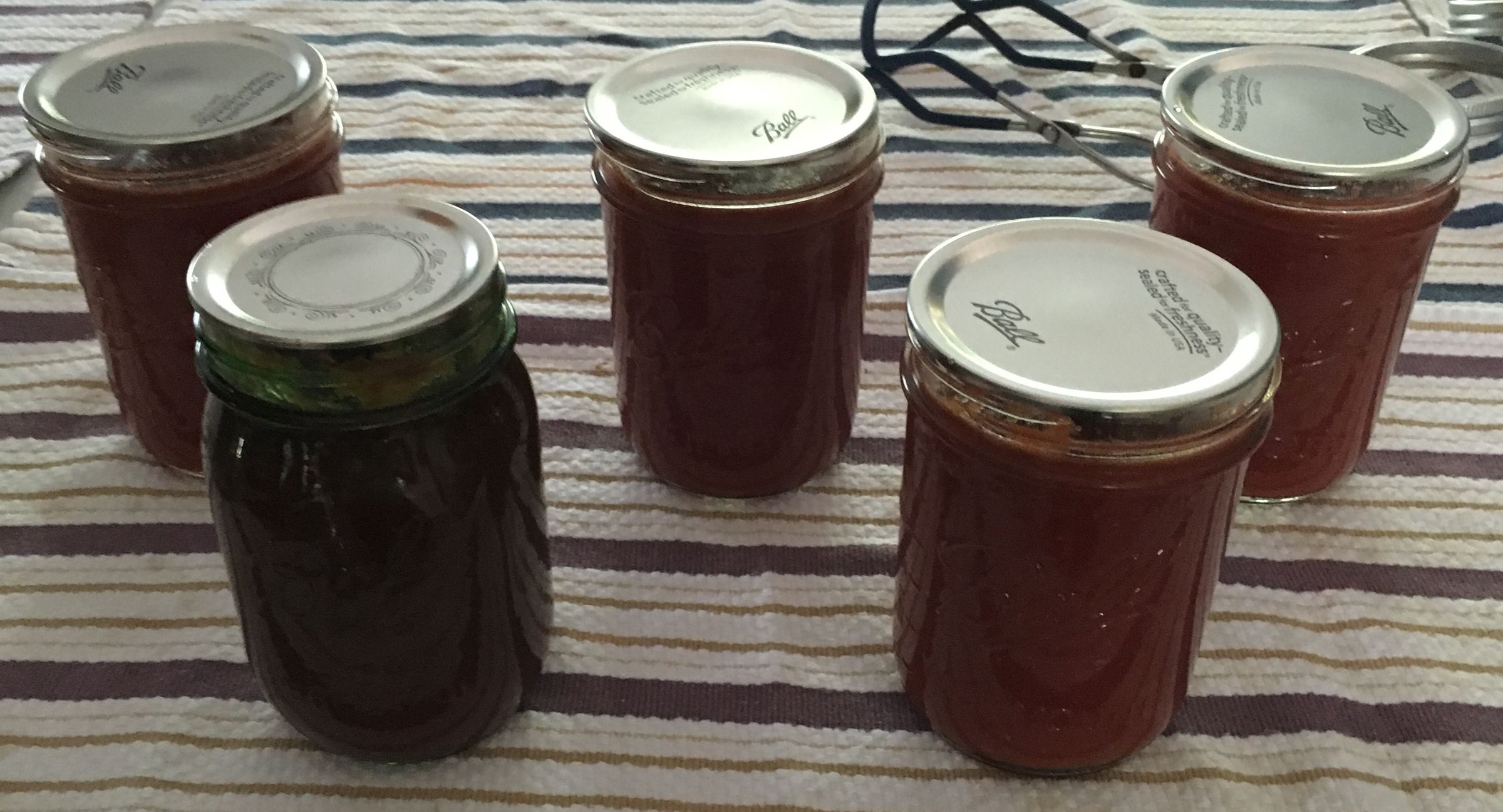 Freshly bottled jars of summer tomato sauce ready for the pantry