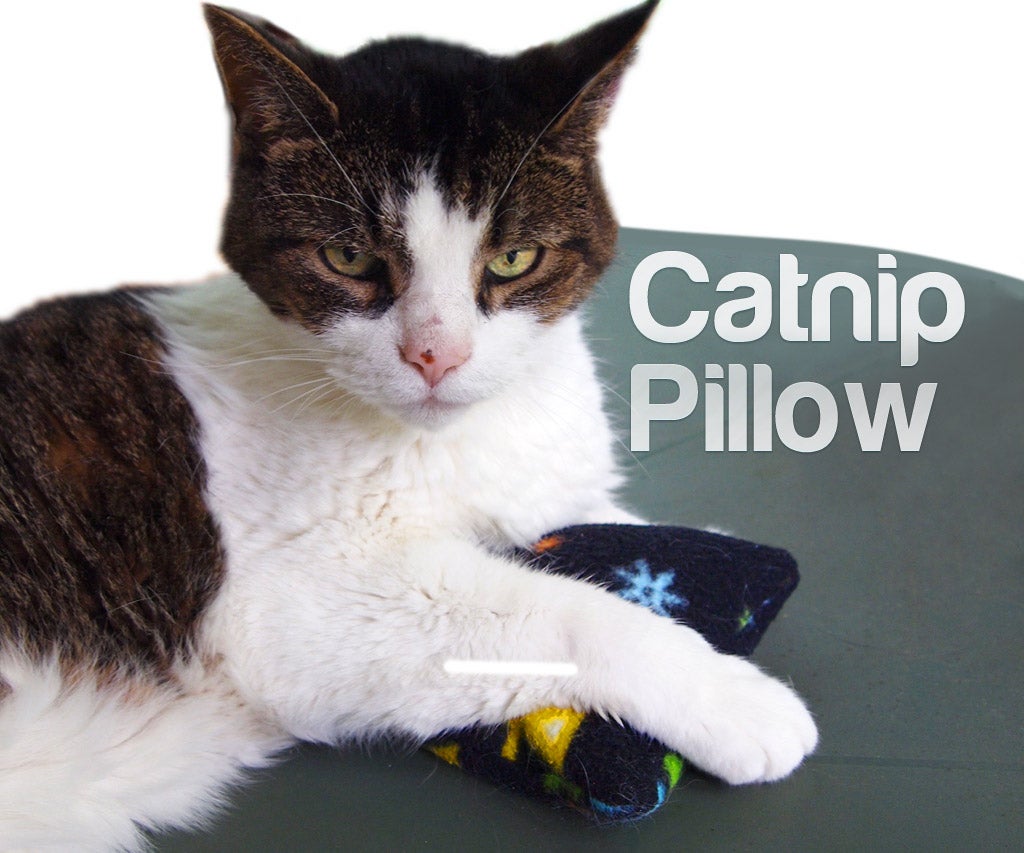 Catnip Pillows 3 Steps (with Pictures) Instructables