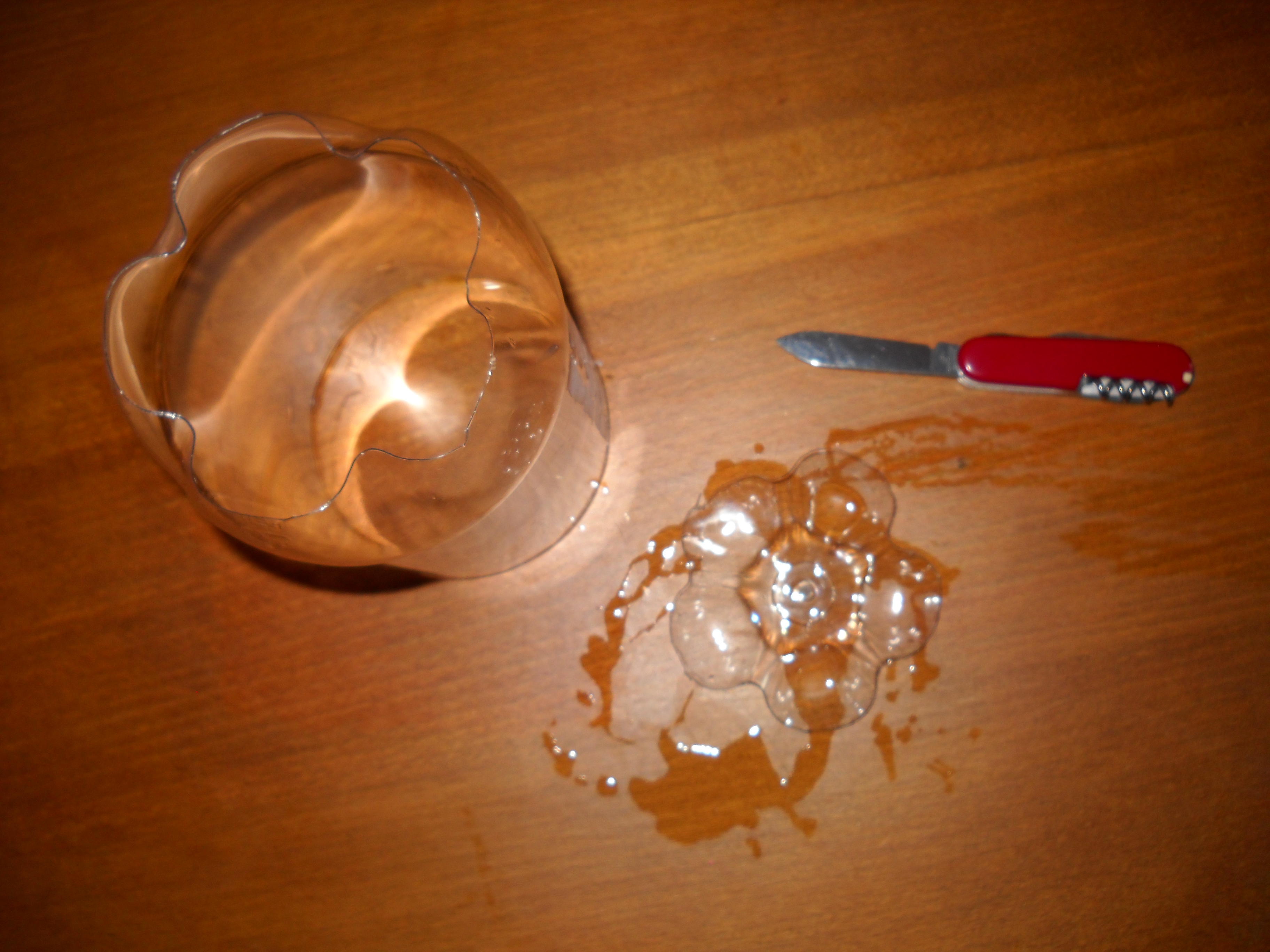 Mini Greenhouse for Seedlings Cat Proof! 9 Steps Instructables