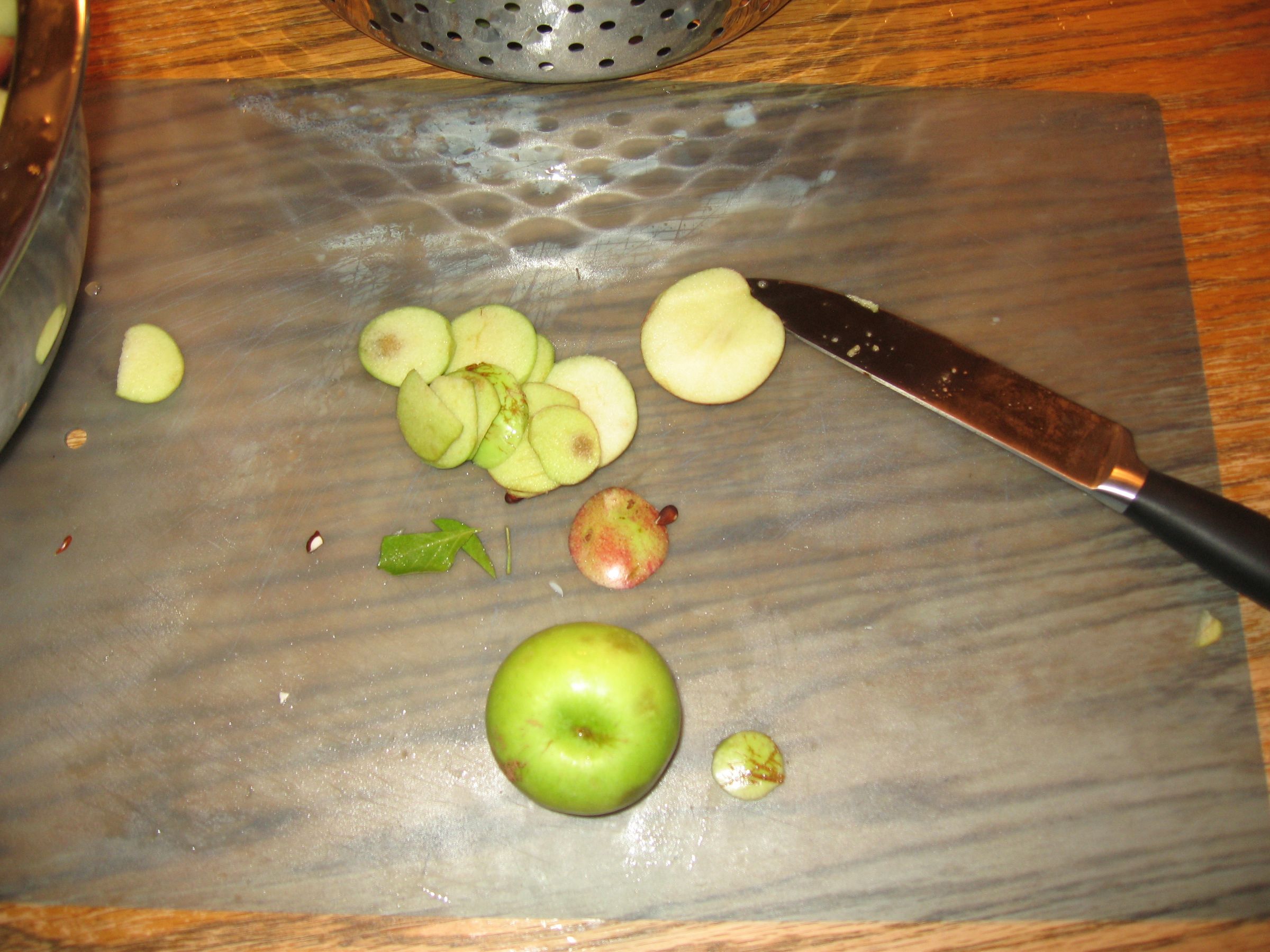 How to Make Homemade Applesauce With a Food Mill 5 Steps Instructables