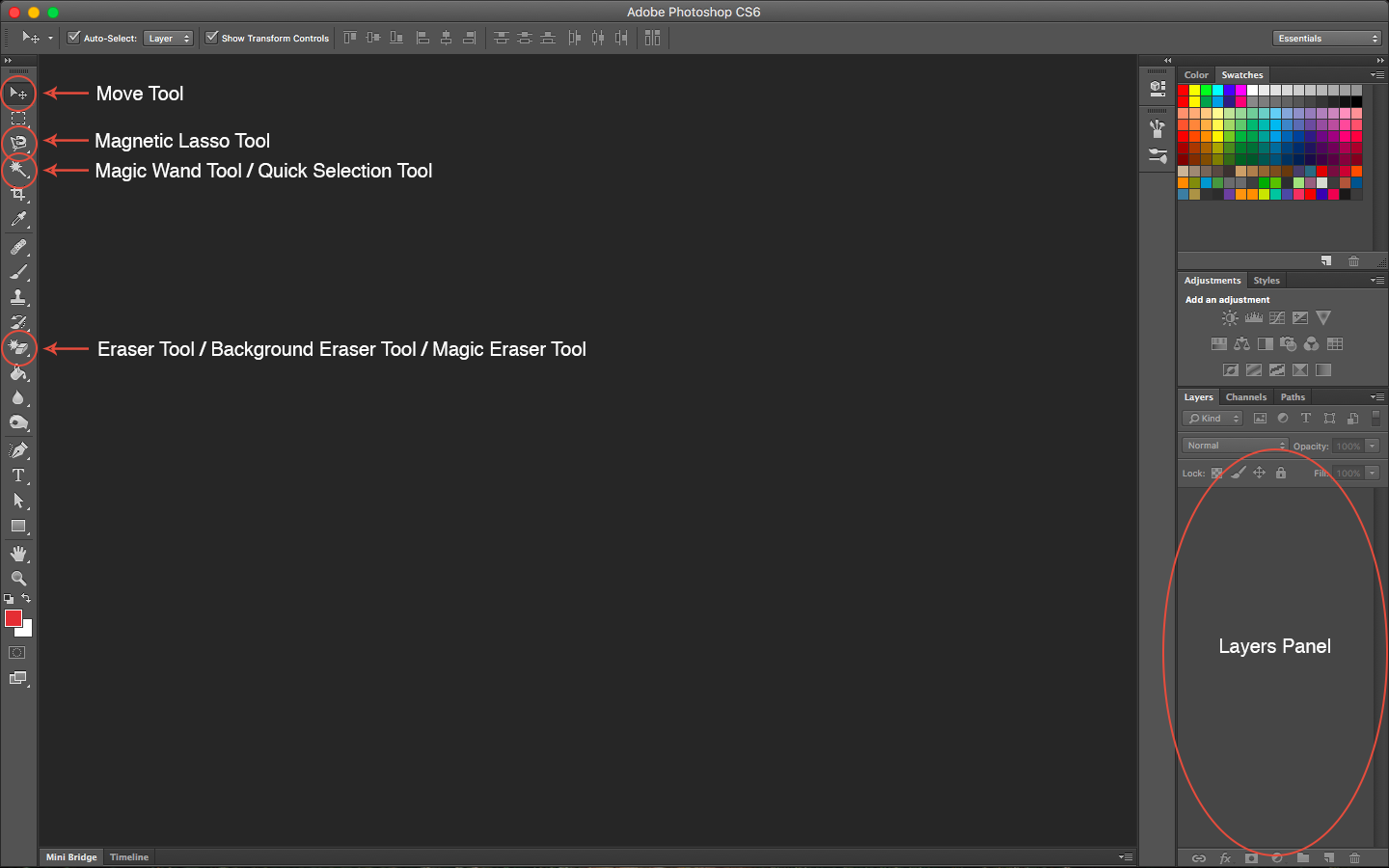 adobe bridge cs6 clear the move to