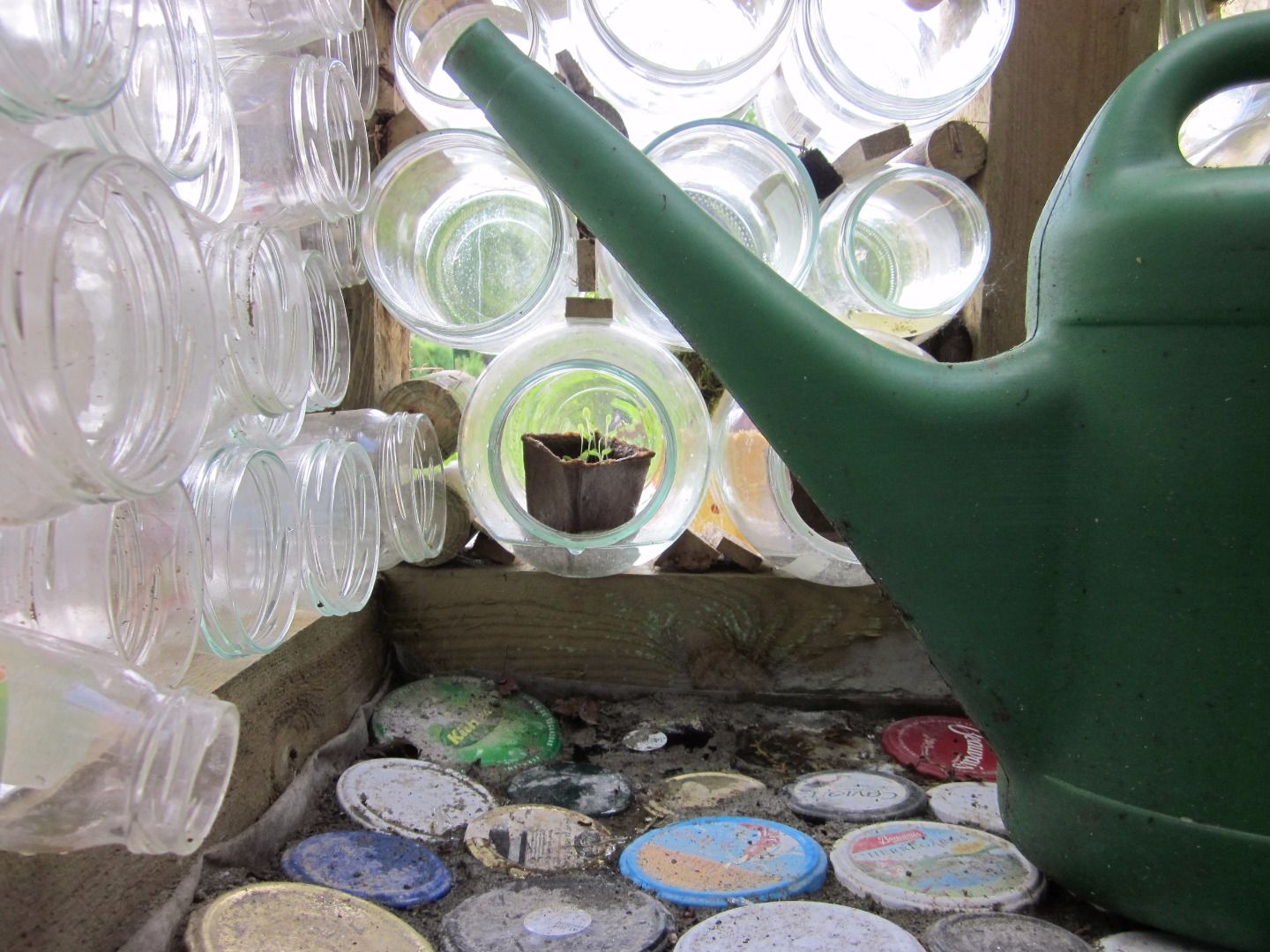 Glass Jar Greenhouse 5 Steps (with Pictures) Instructables