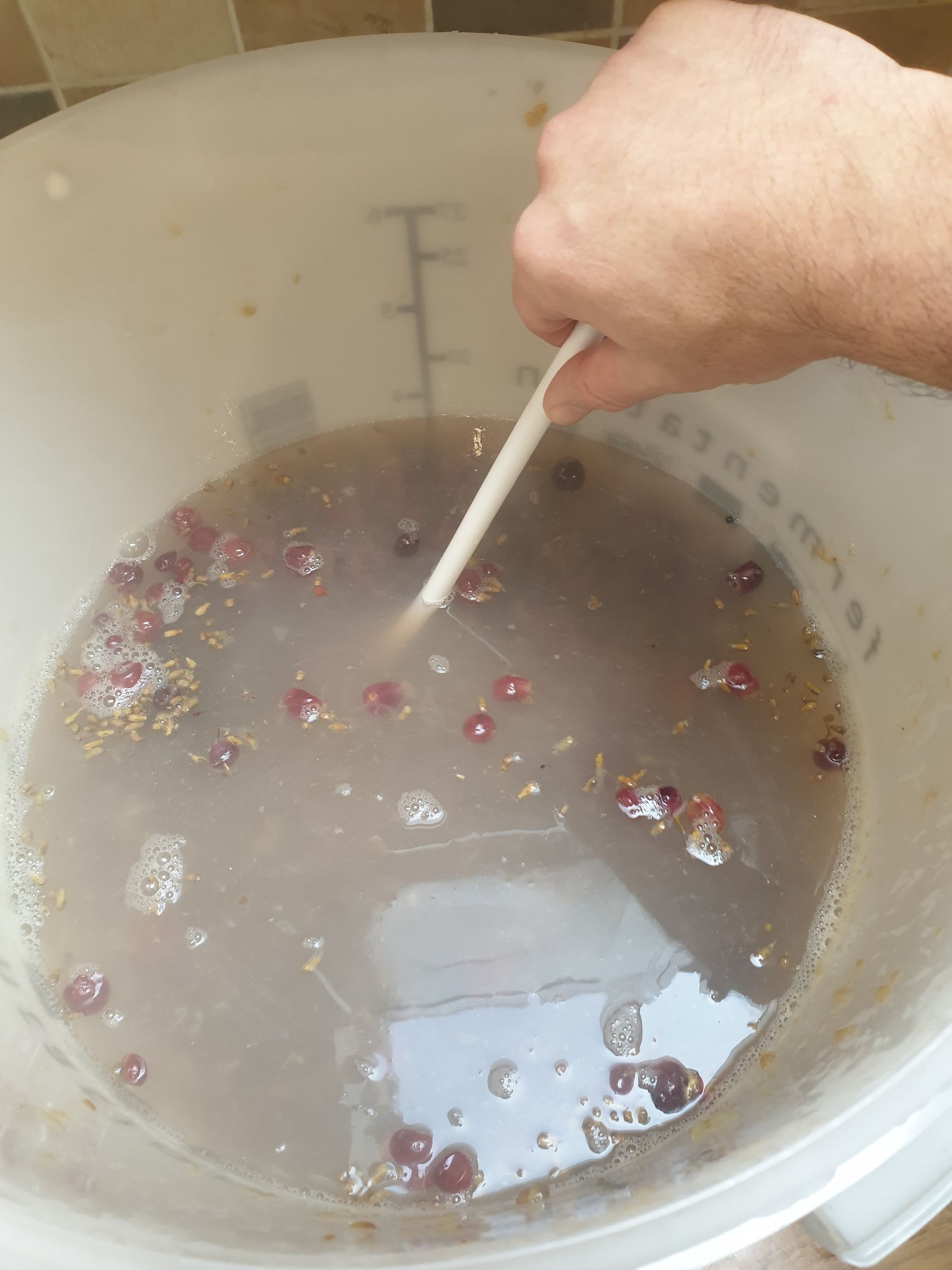 How to Make Your Own Wine From Grapes at Home 20 Steps (with Pictures