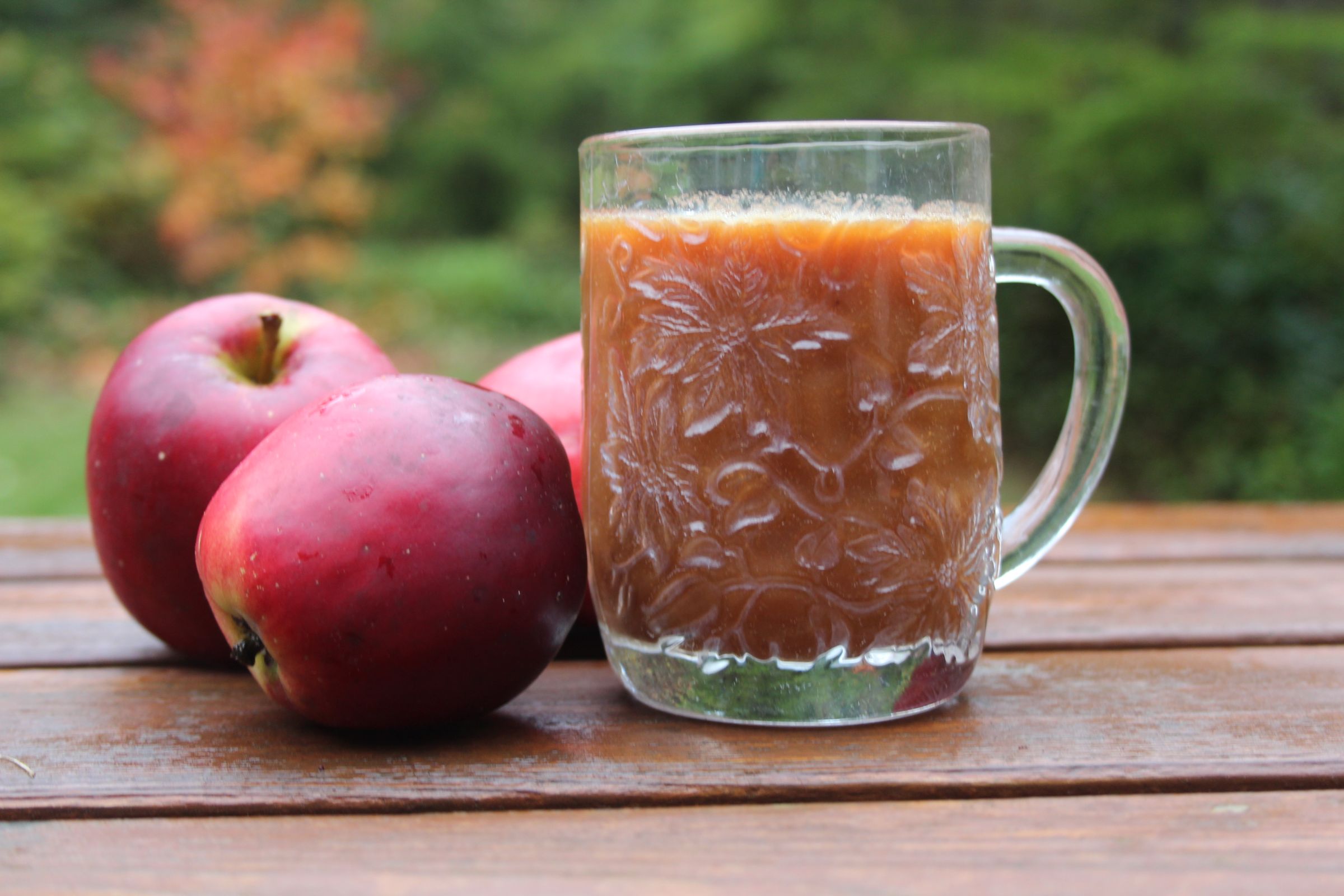 Apple Cider From Apples (no Cider Press) (with Pictures) Instructables