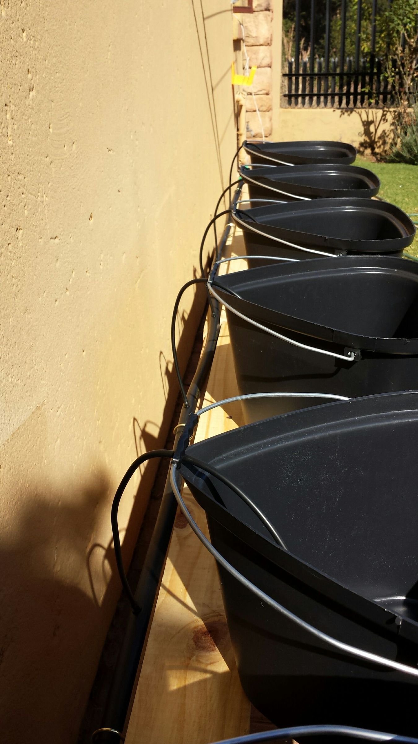 Dutch Bucket Hydroponics 8 Steps (with Pictures) Instructables