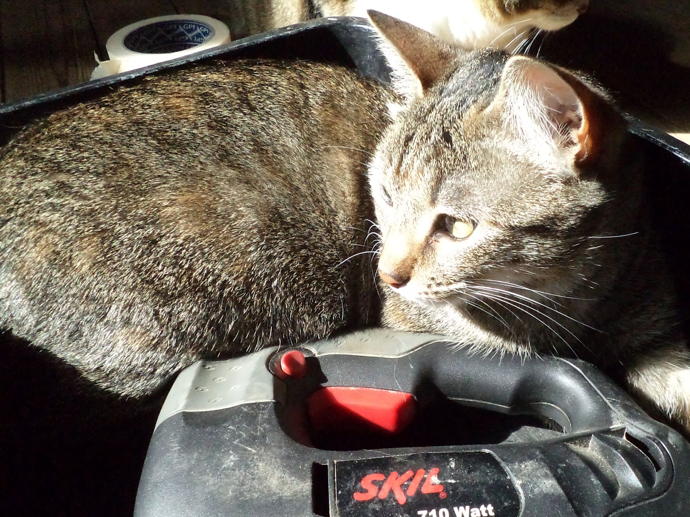 Elegant Ikea Hack Litterbox : 3 Steps (with Pictures) - Instructables