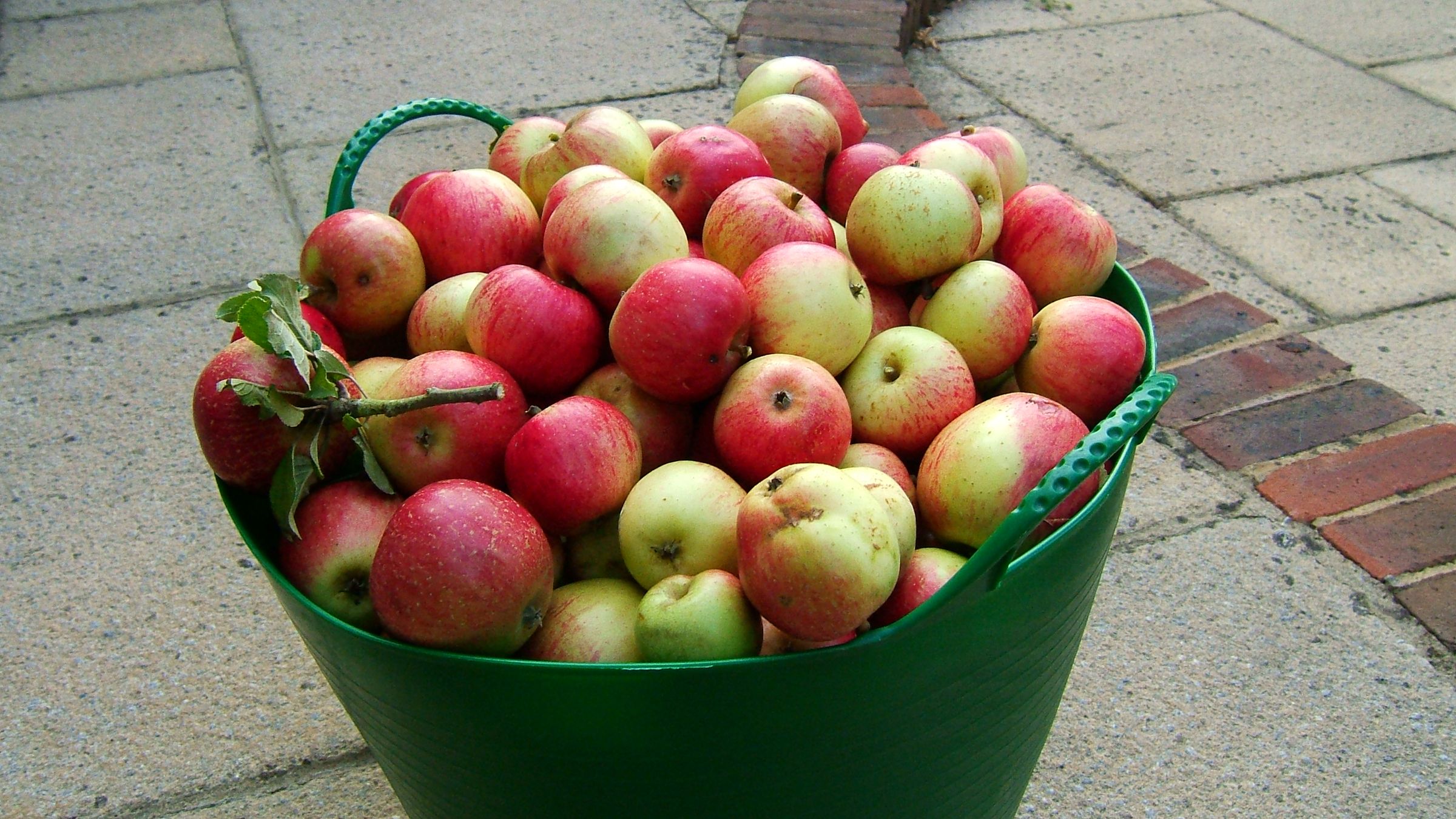 Cider the Hard Way From Press to Pi**ed !