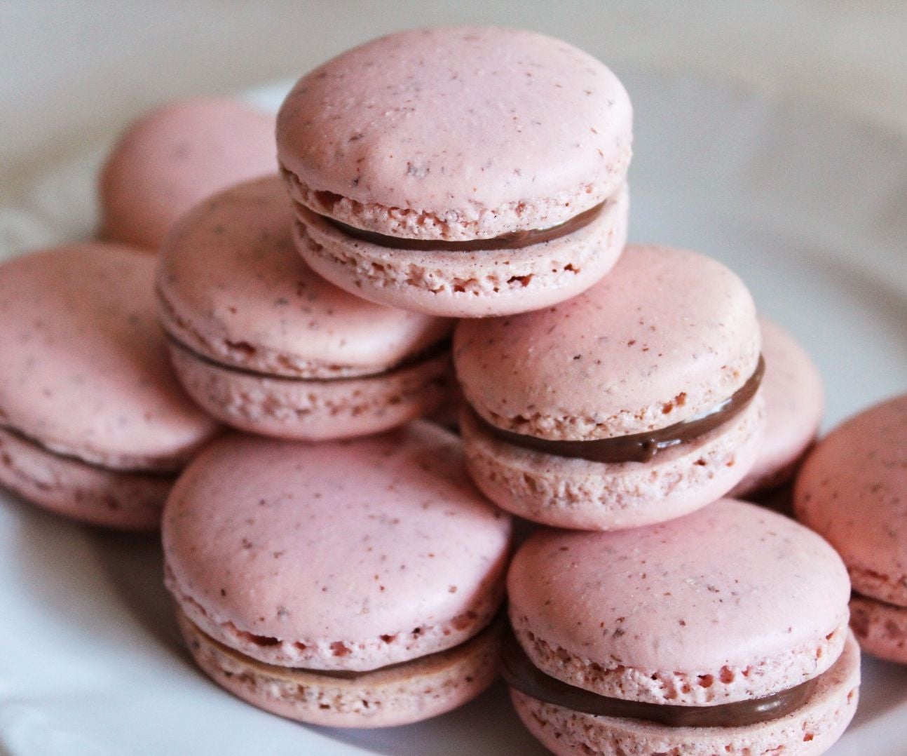 Passable (Beginner's) Macarons : 12 Steps (with Pictures) - Instructables