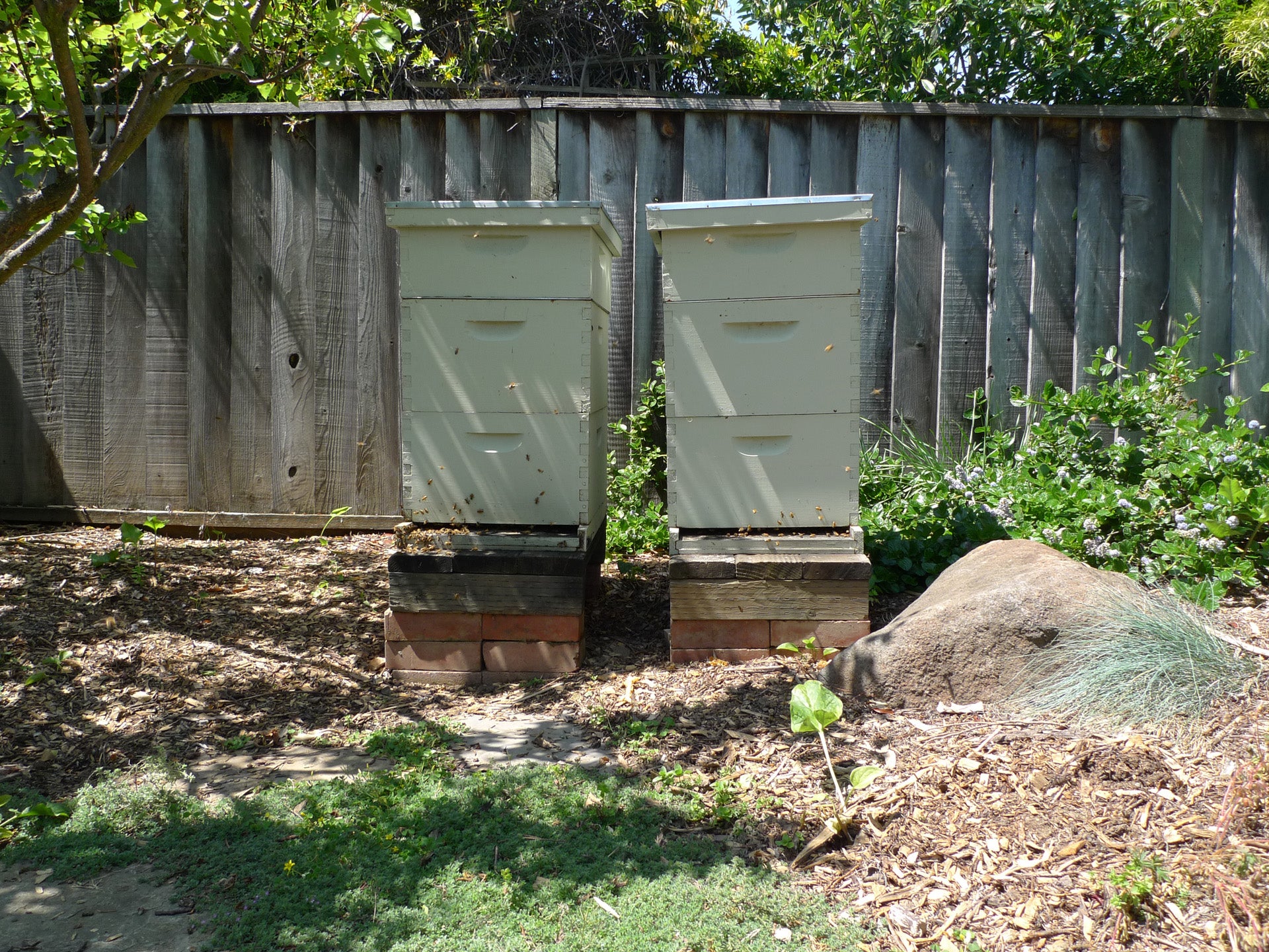 Extracting Honey 8 Steps (with Pictures) Instructables