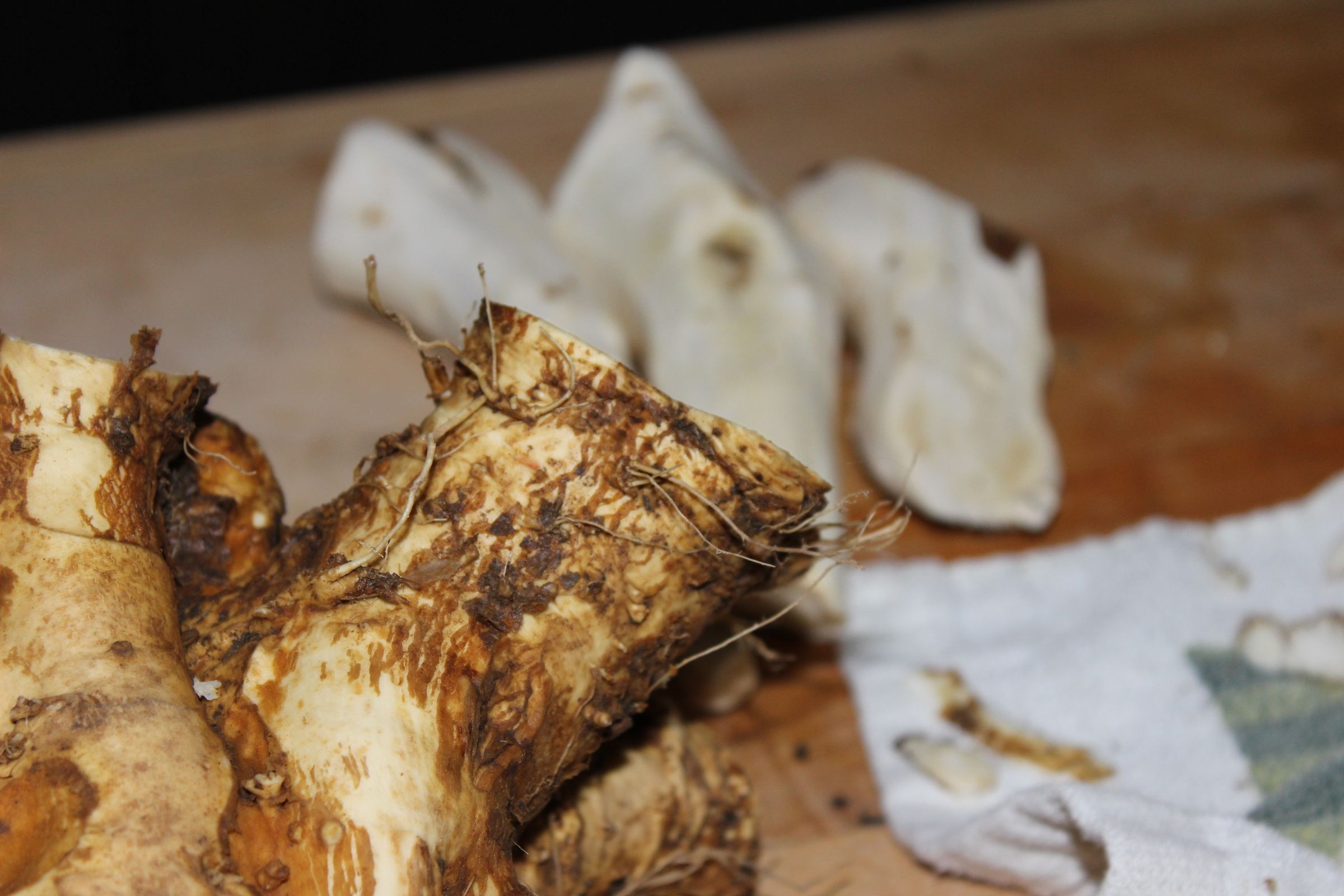 Canning Horseradish 4 Steps Instructables