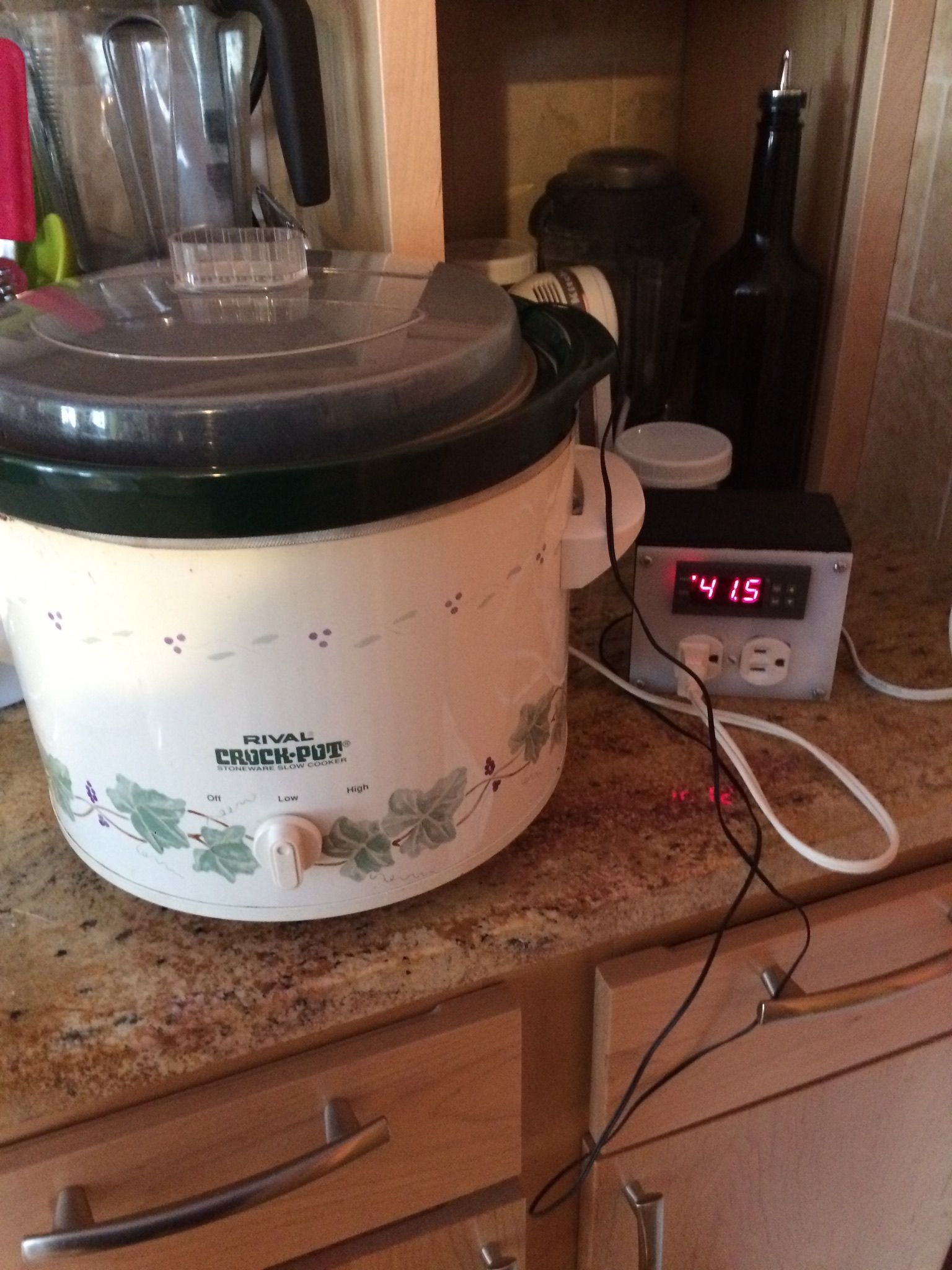 Sous Vide Cooker for Less Than $40