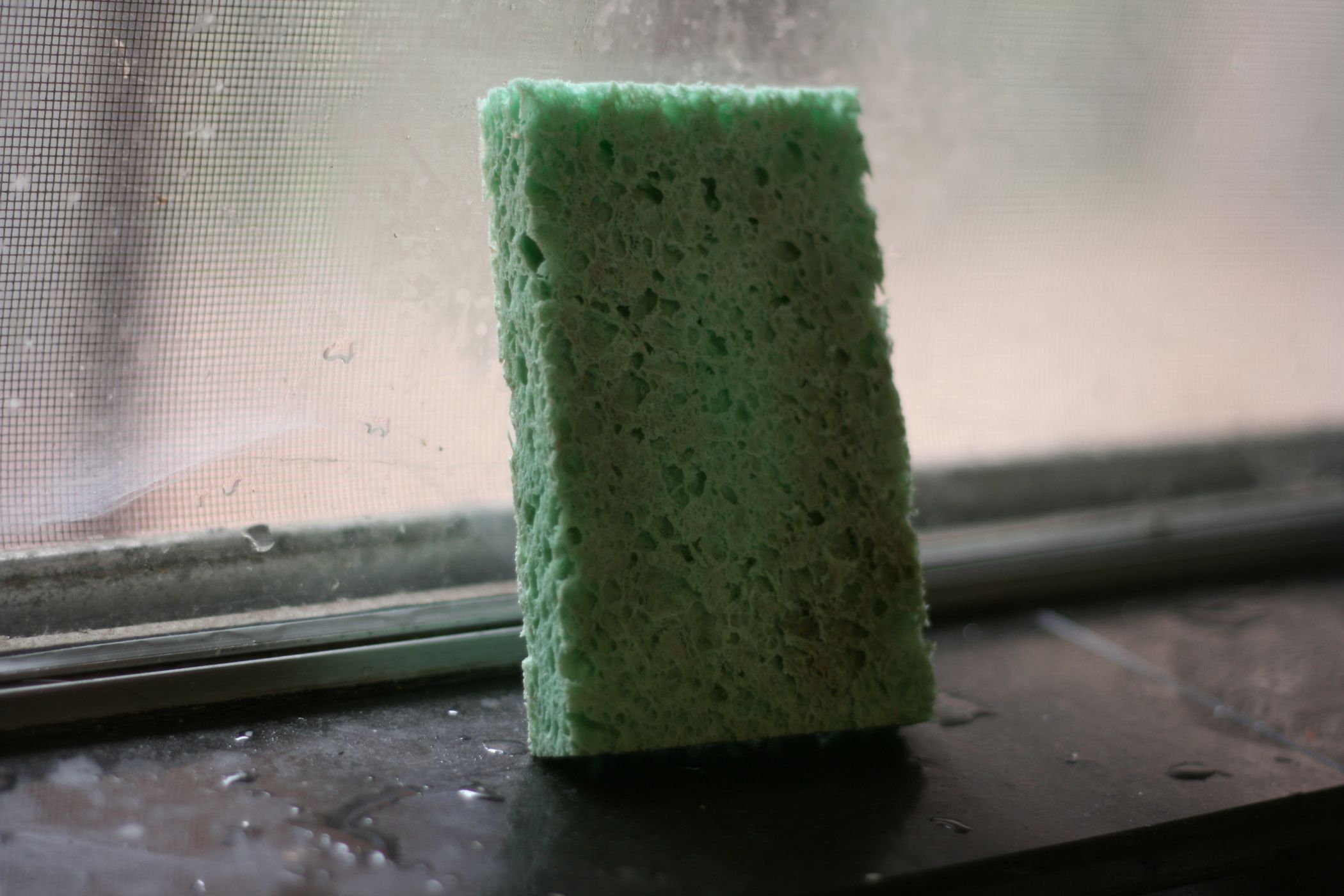 Cleaning Sponges Instructables