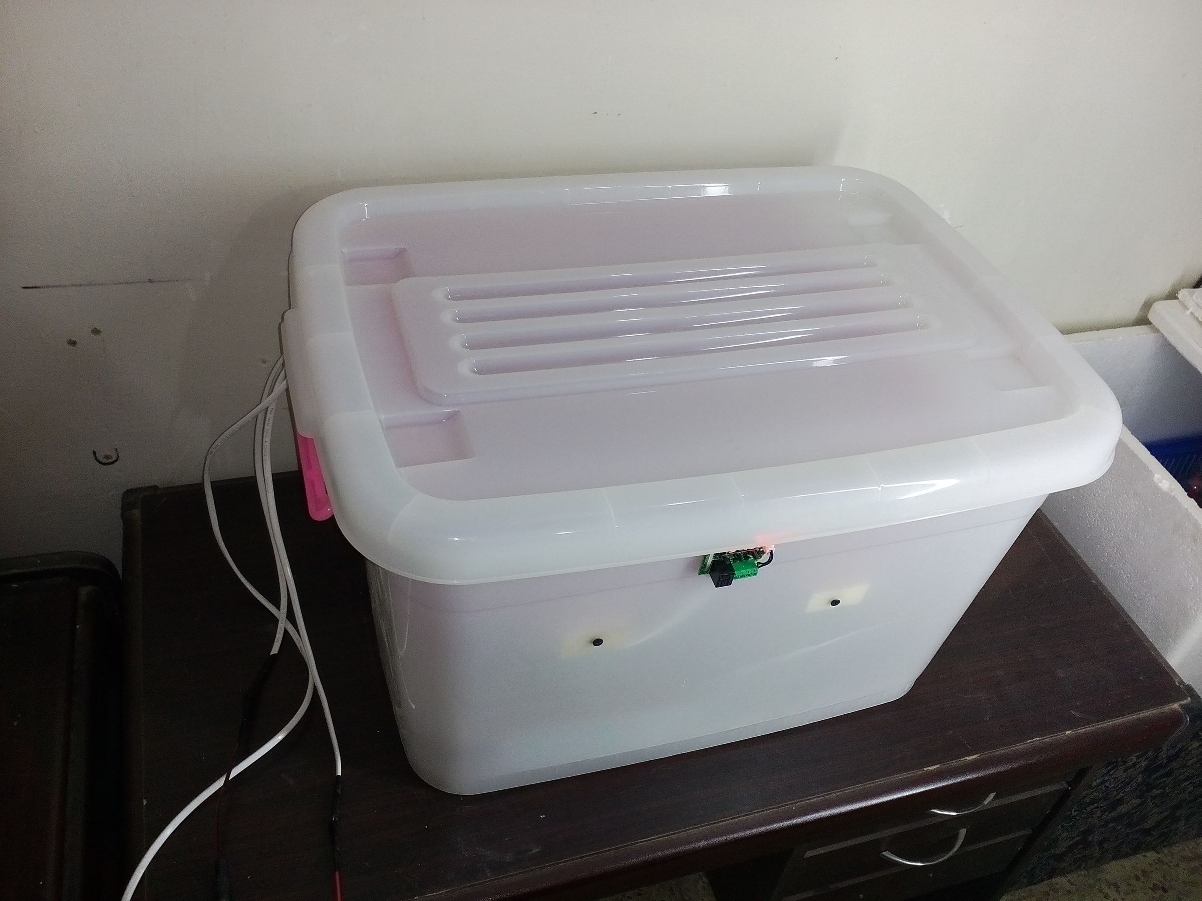 How to Make Homemade Incubator Egg Hatcher at Home 5 Steps (with