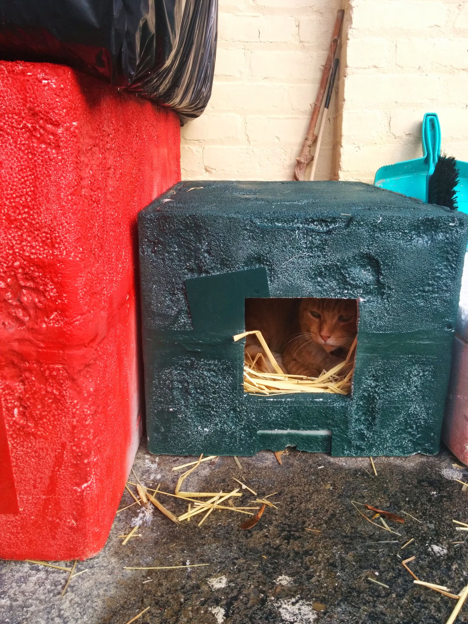 Feral Cat Winter Shelter 7 Steps Instructables