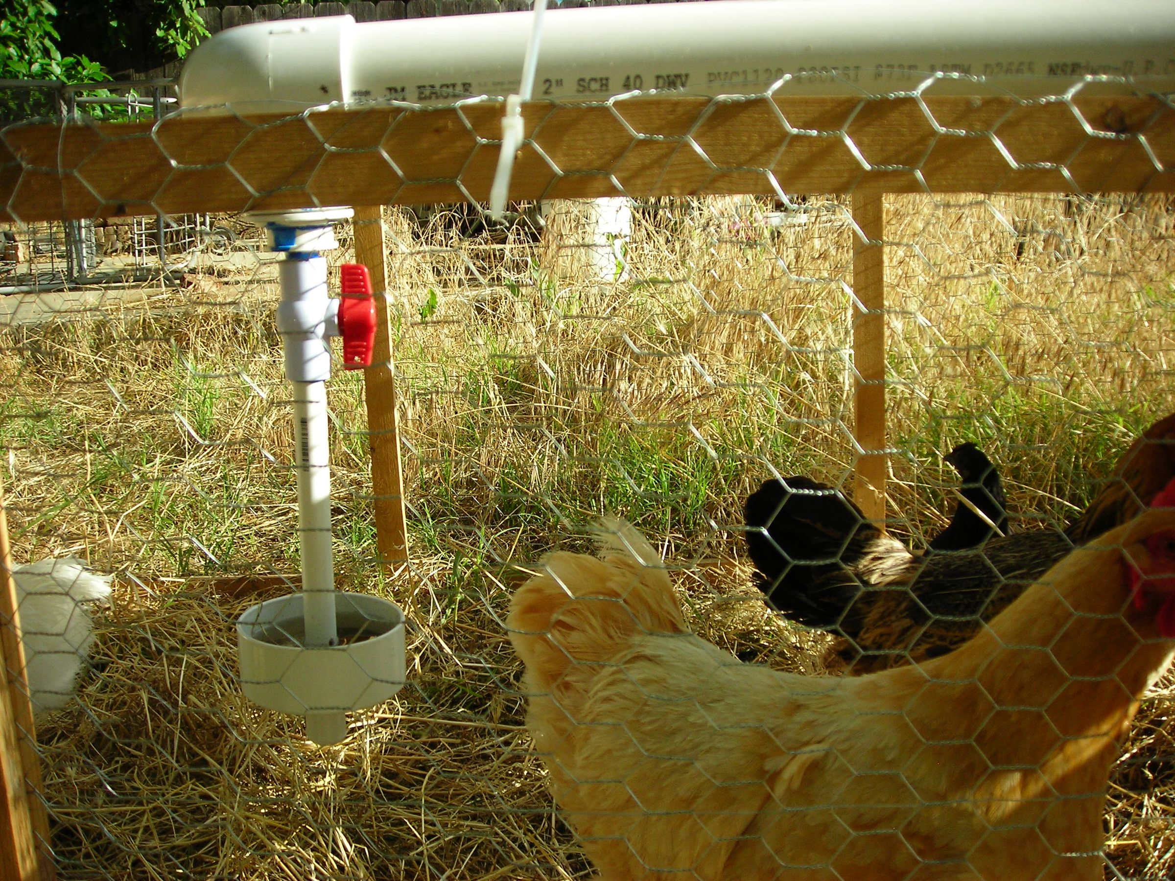 Water Dispenser for Chickens 6 Steps (with Pictures) Instructables