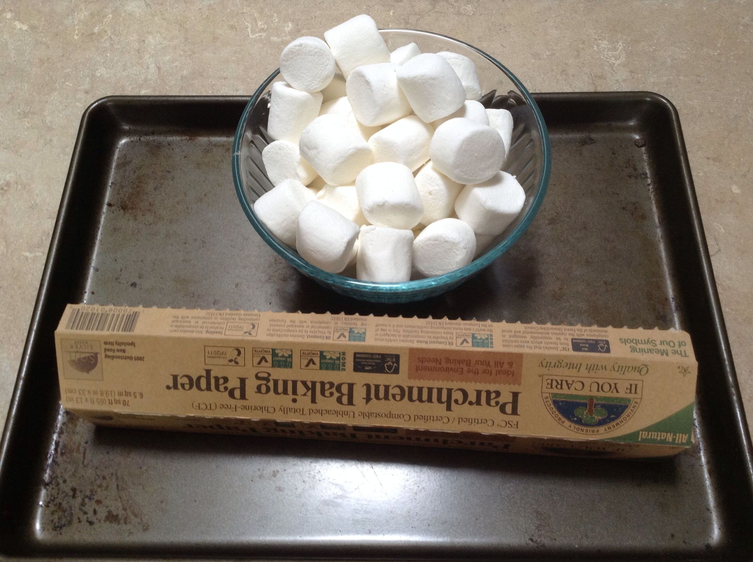 Rainy Day Quick and Easy Oven Roasted Marshmallows 4 Steps