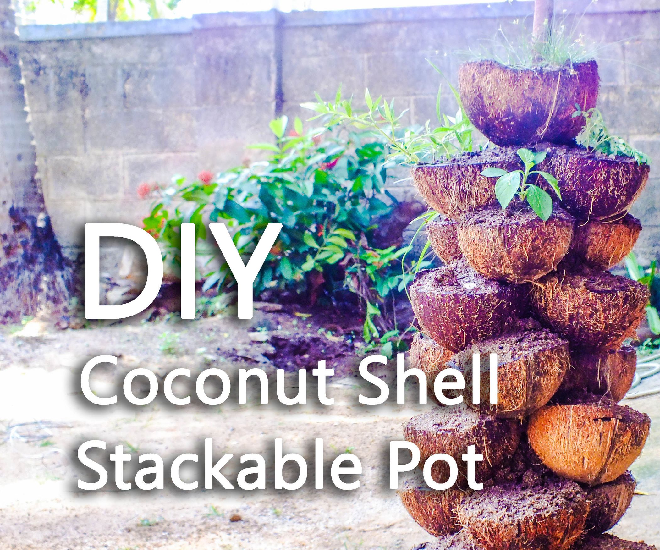 Coconut Shell Stackable Pot 5 Steps (with Pictures) Instructables