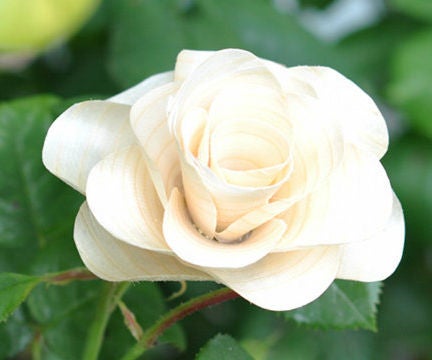 Wooden Roses How to Make