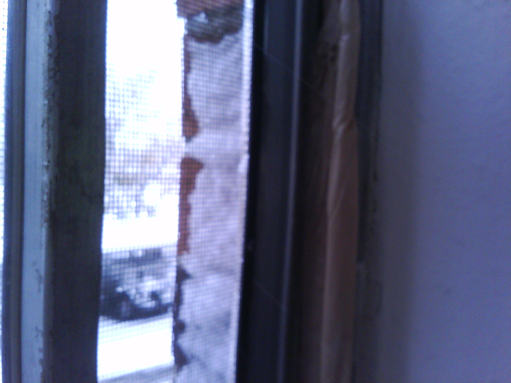 Weather Strip a Window on the Cheap picture