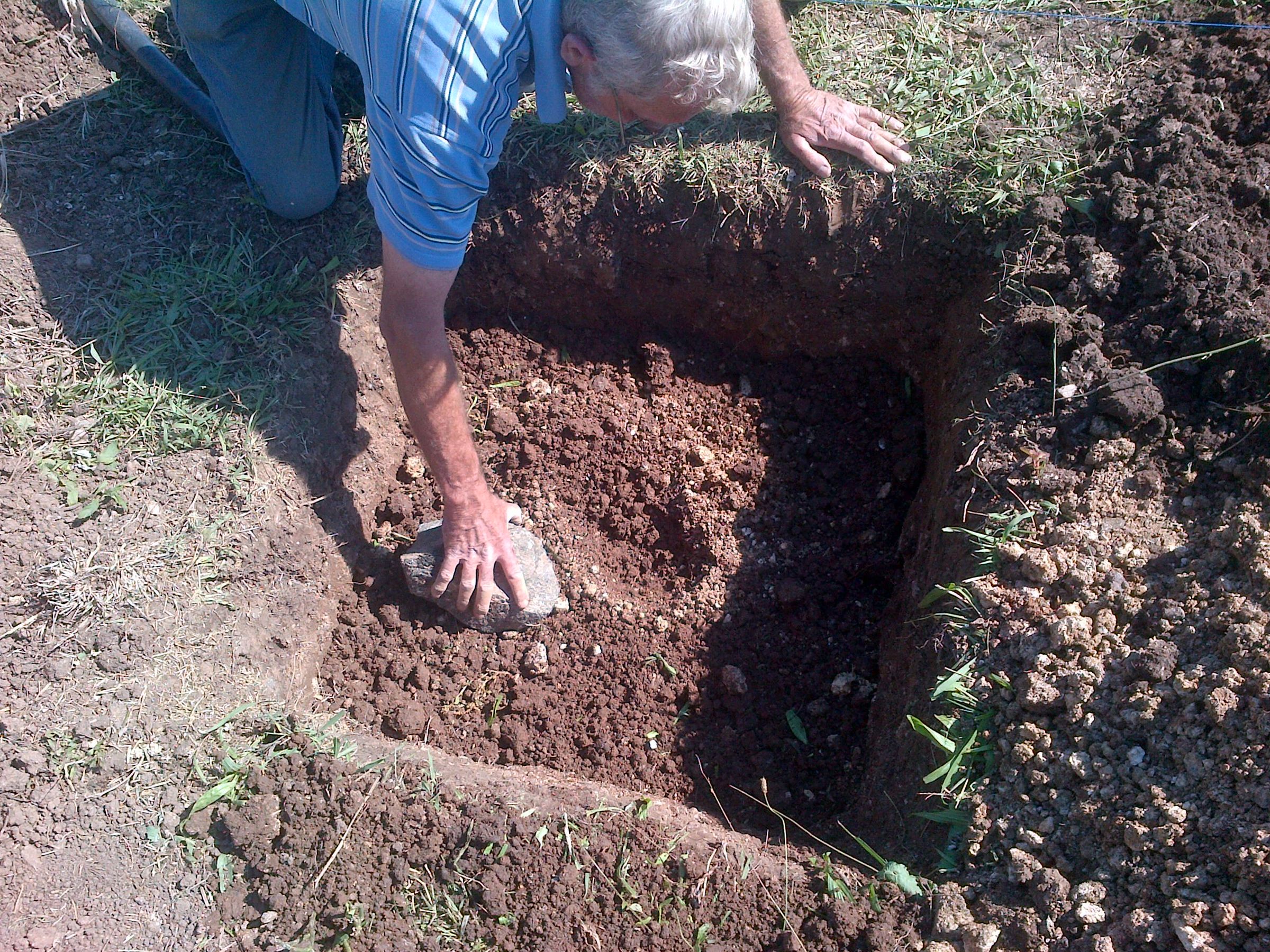 Planting Tree Ellen White Way (EGW) 11 Steps Instructables