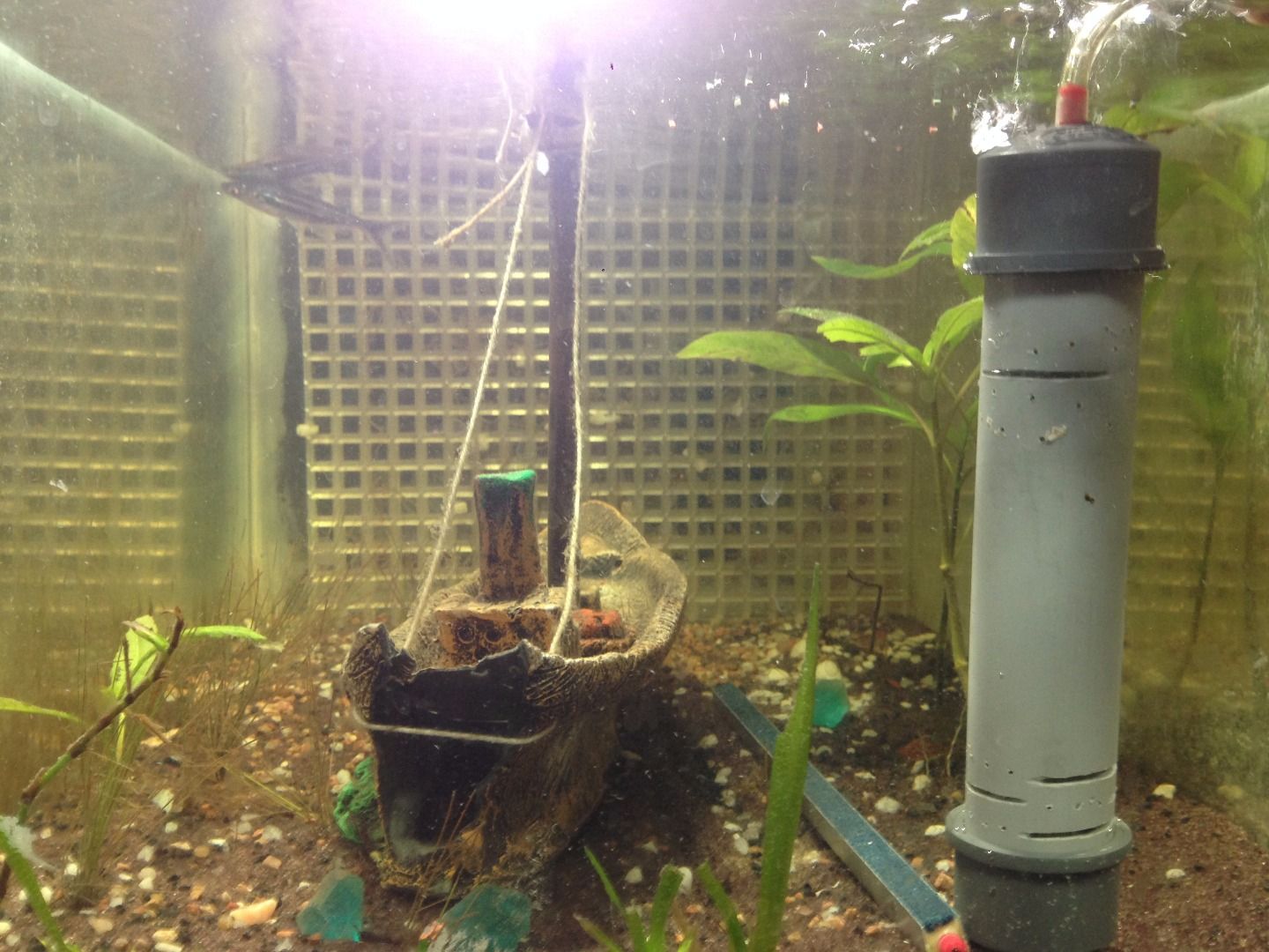 DIY Simple PVC Sponge Filter for Aquariums! 9 Steps Instructables