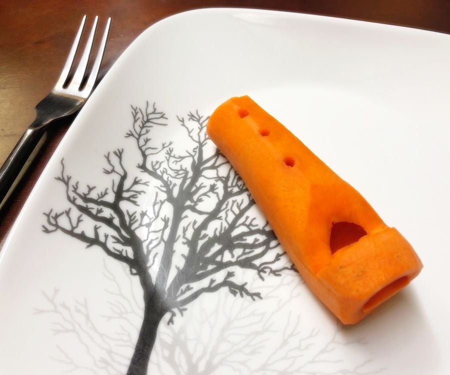 The Carrot Recorder 7 Steps (with Pictures) Instructables