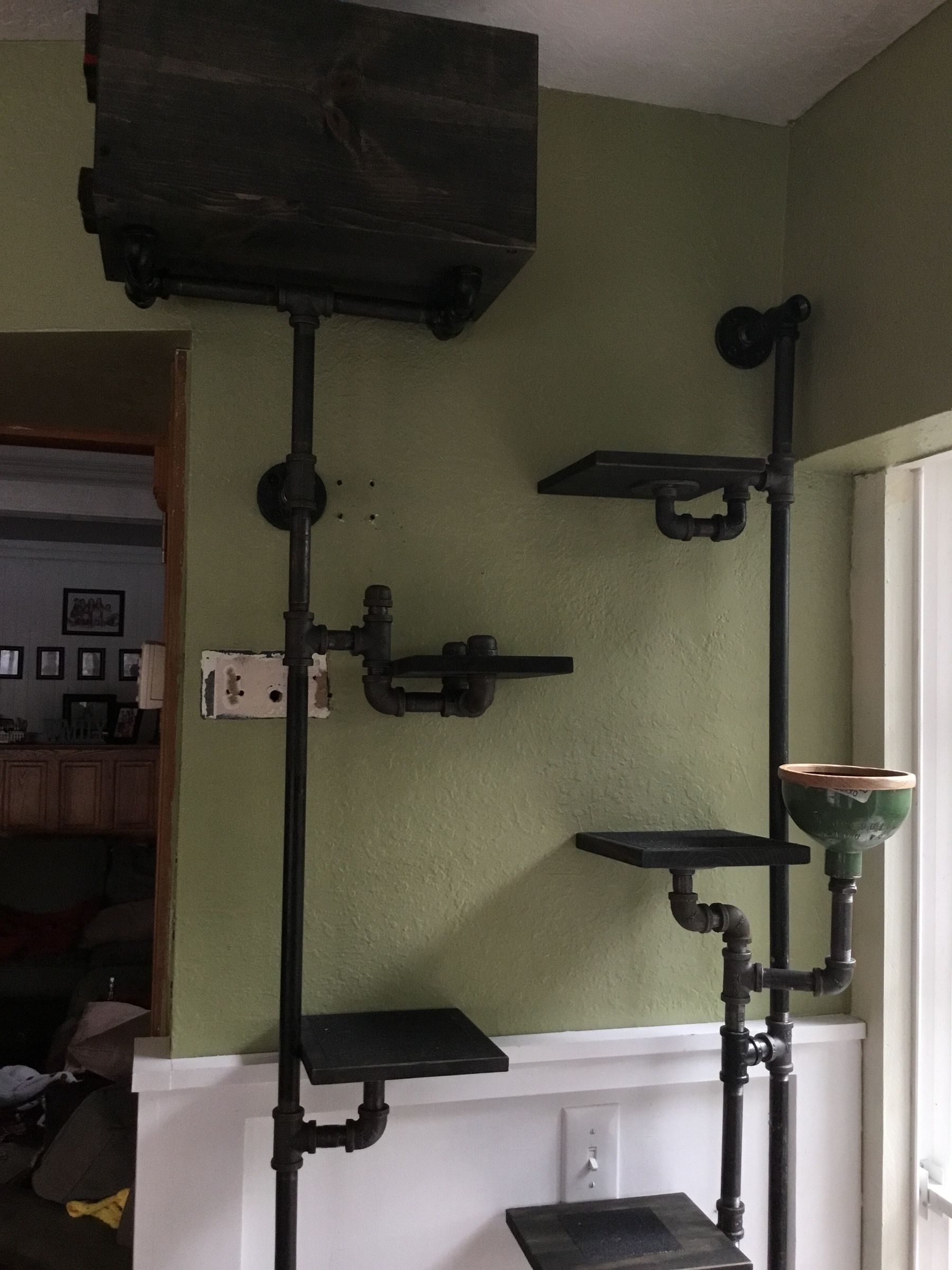 Cat Wall 5 Steps (with Pictures) Instructables