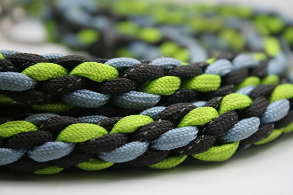 kumihimo dog leash