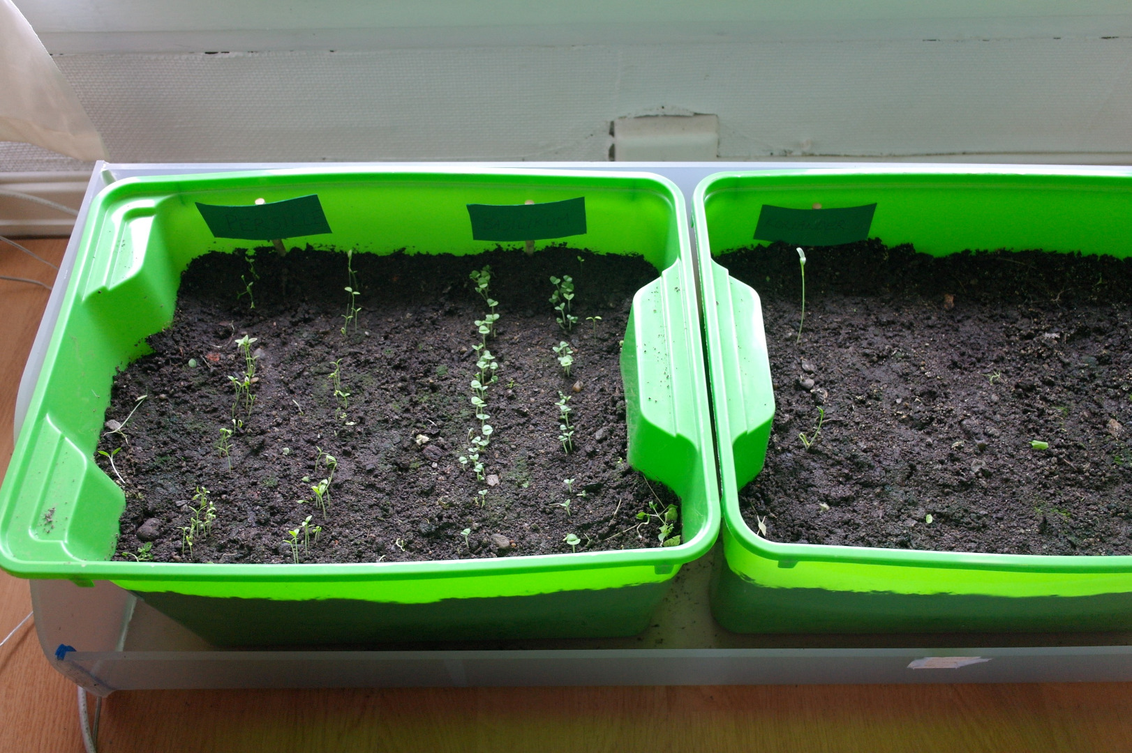 Indoor Herb Garden With Automatic Watering 8 Steps (with Pictures