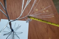 Create the Trunk and Branch Preform