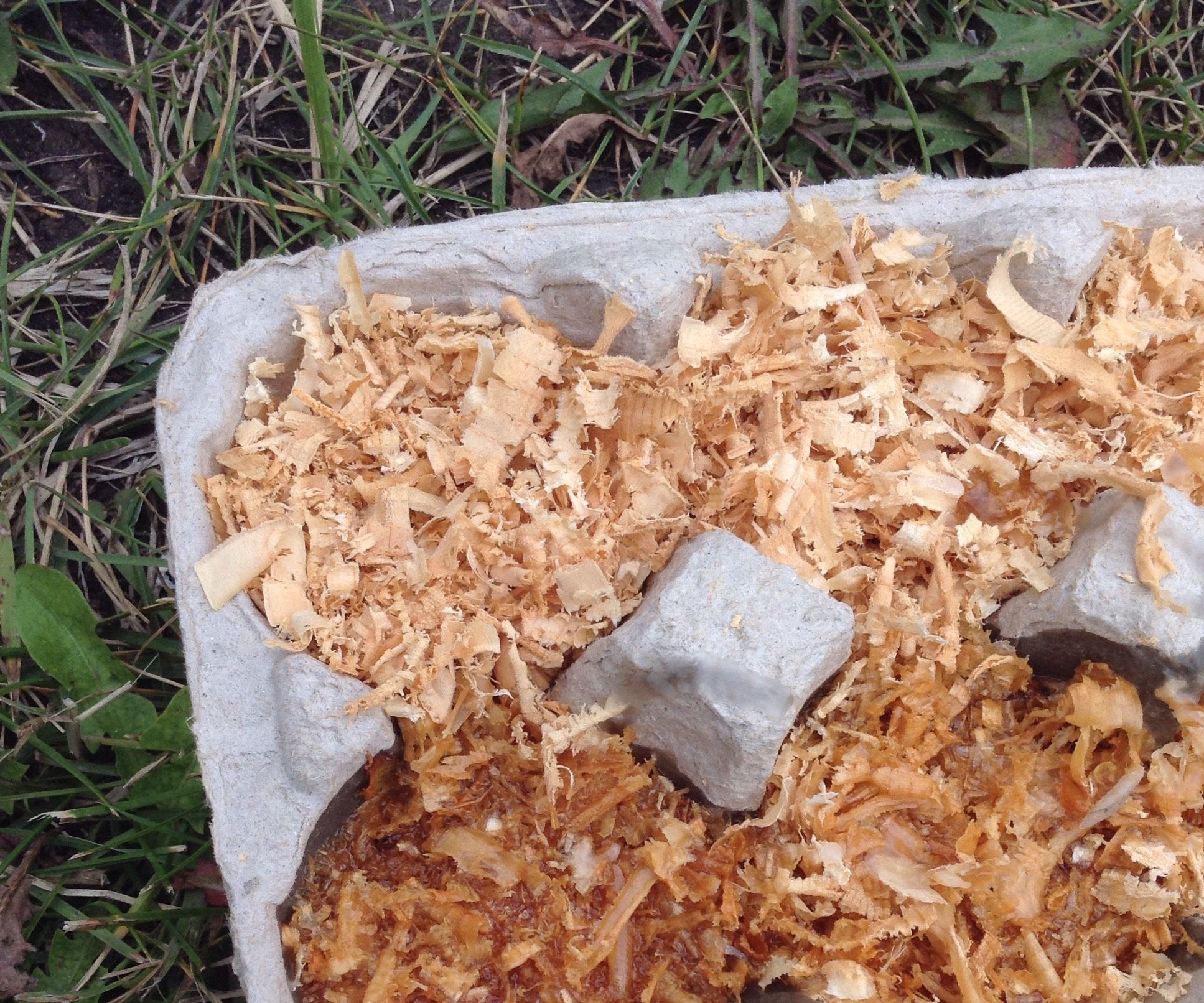 Waterproof Fire Starter From Reused Egg Cartons 4 Steps Instructables