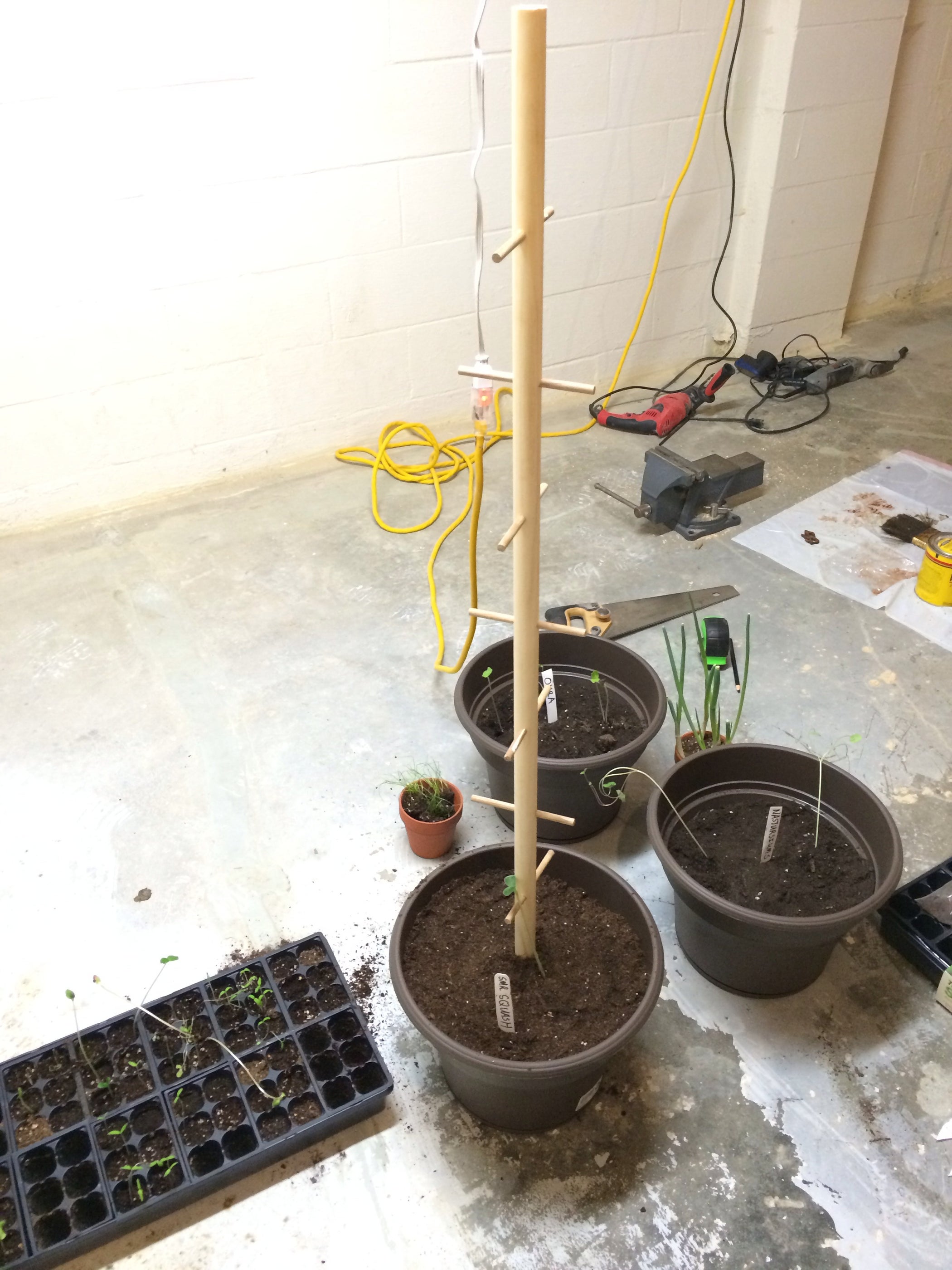 Climbing Trellis 7 Steps Instructables