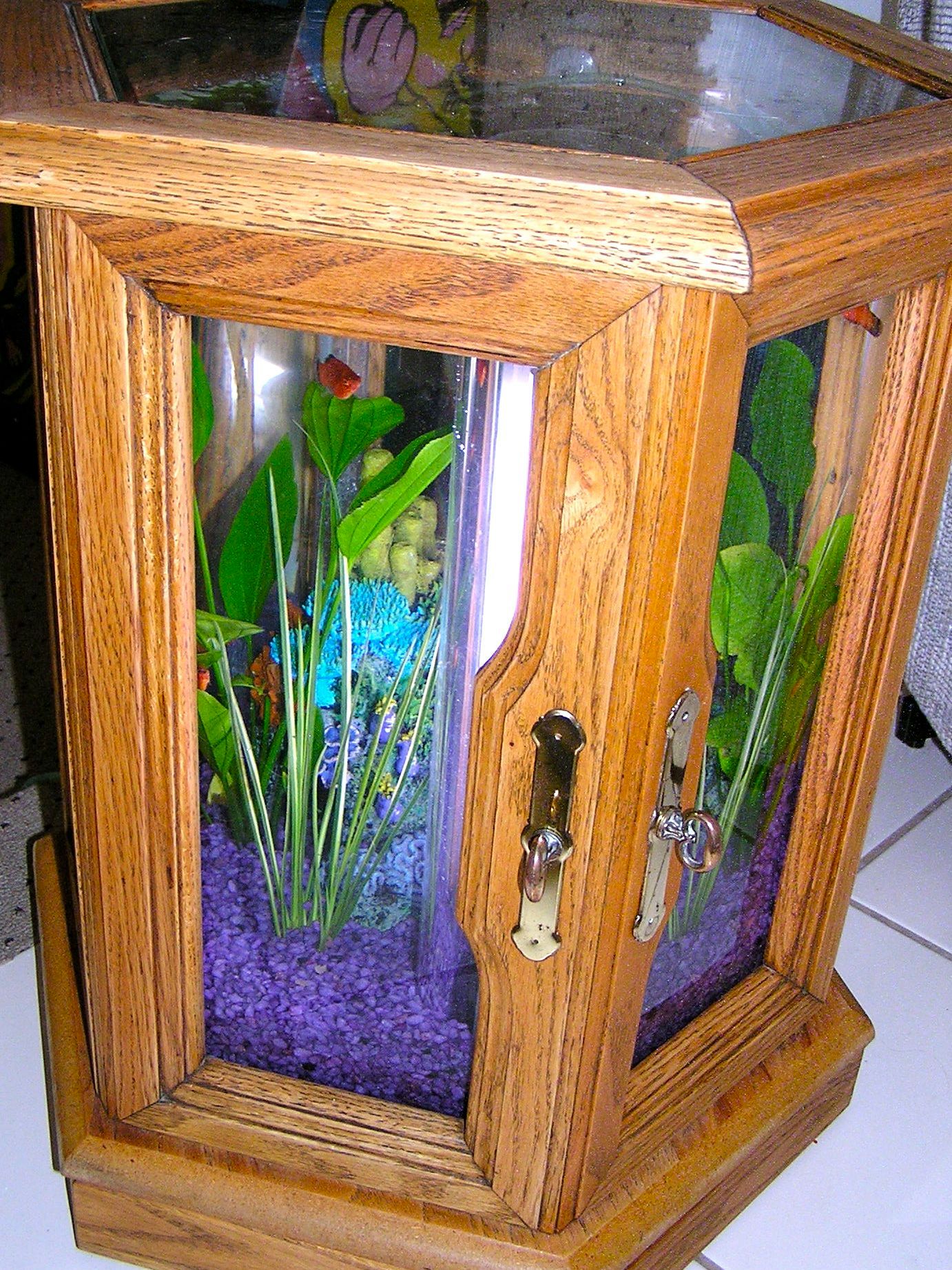 Building an Hexagonal Acrylic Aquarium 7 Steps (with Pictures