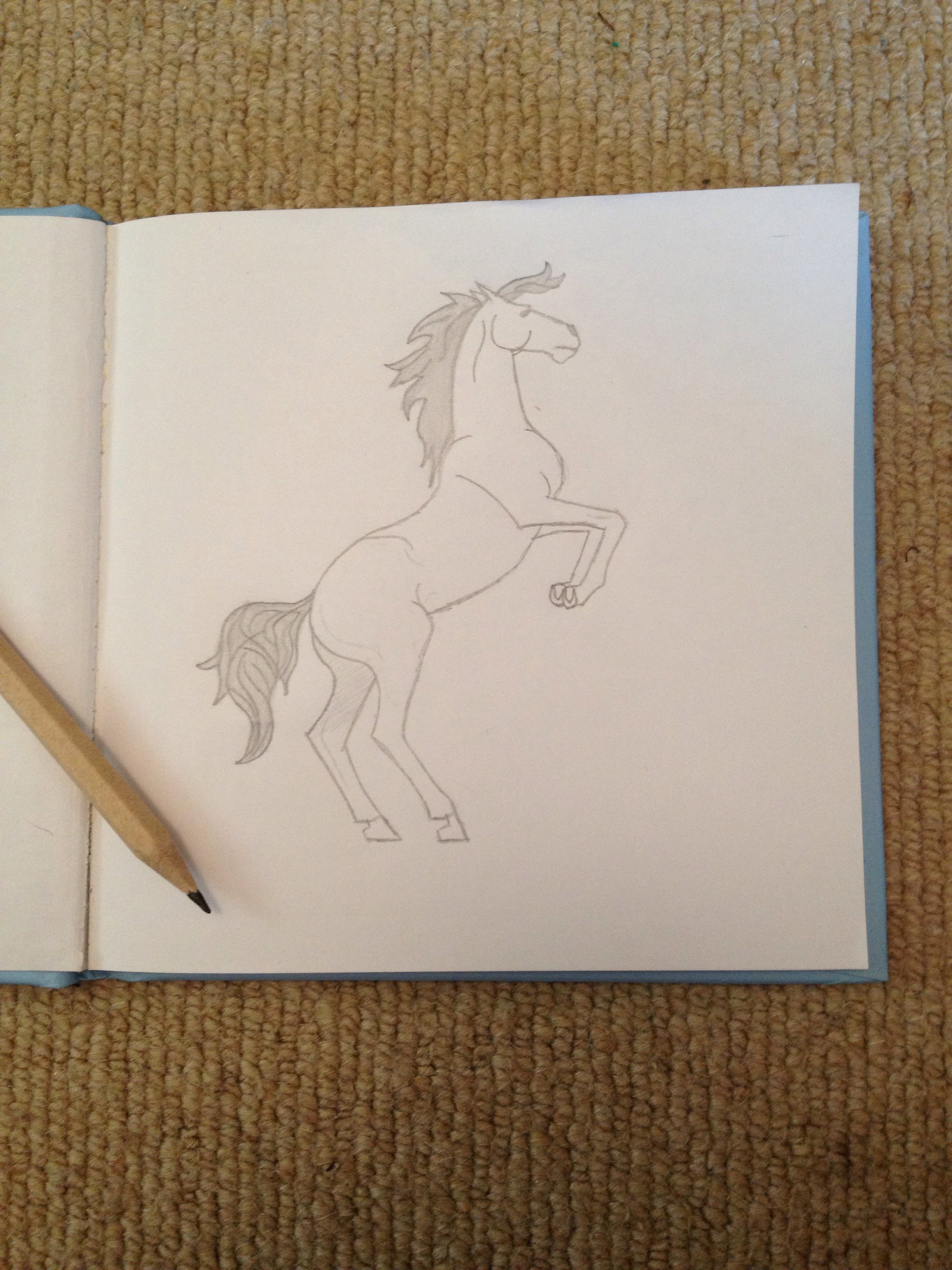 How To Draw A Horse 4 Steps Instructables