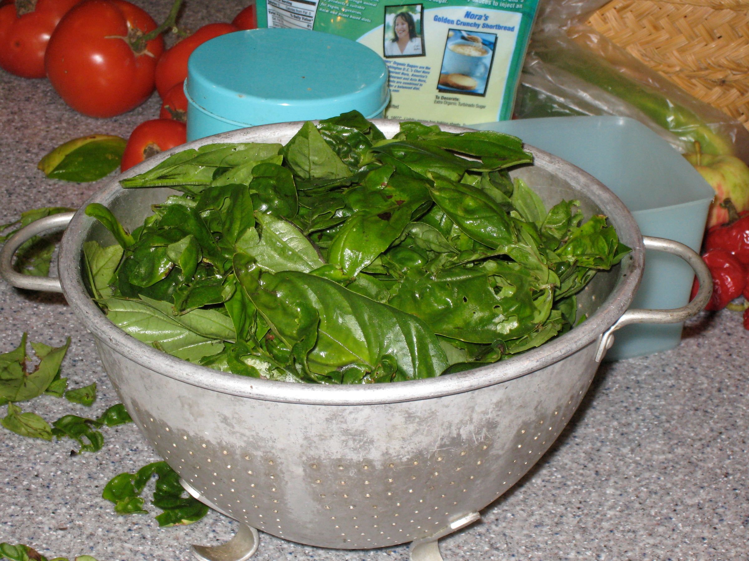 Best Pesto Ever