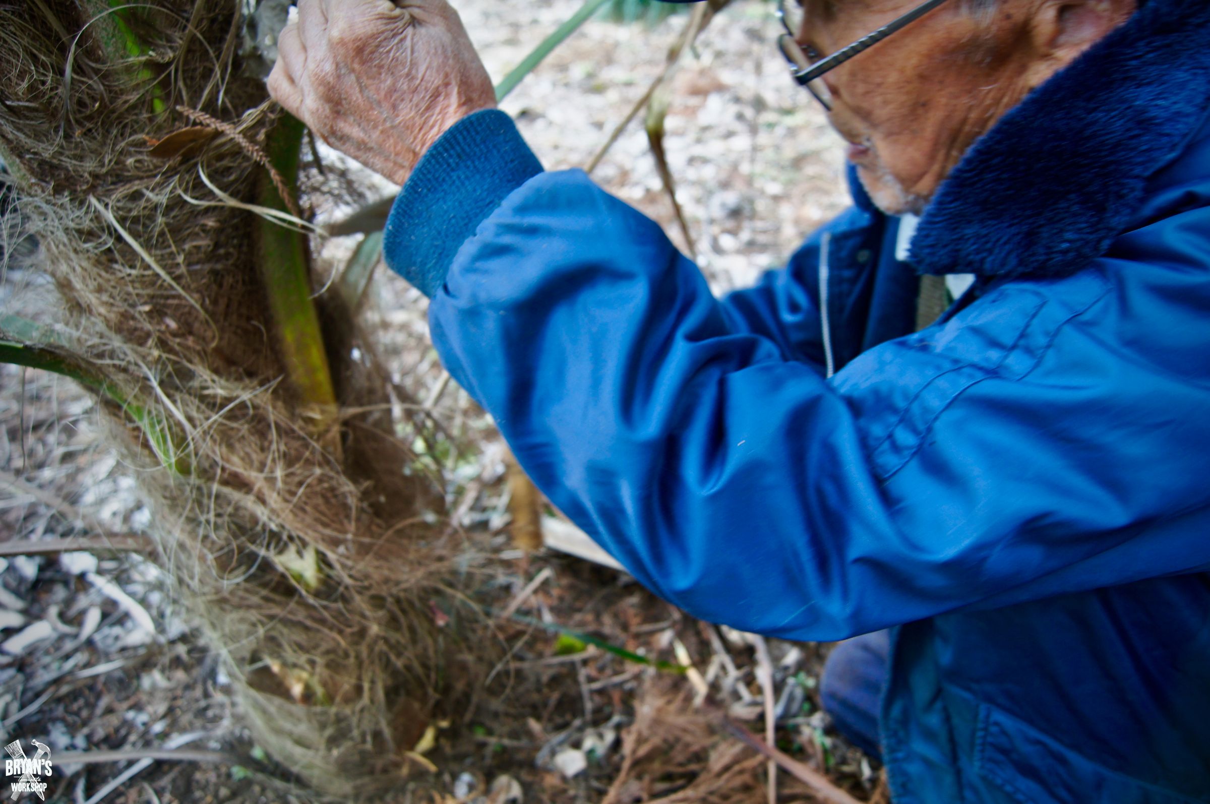 How to Make Rope Using Windmill Palm Tree Fiber! : 6 Steps (with ...