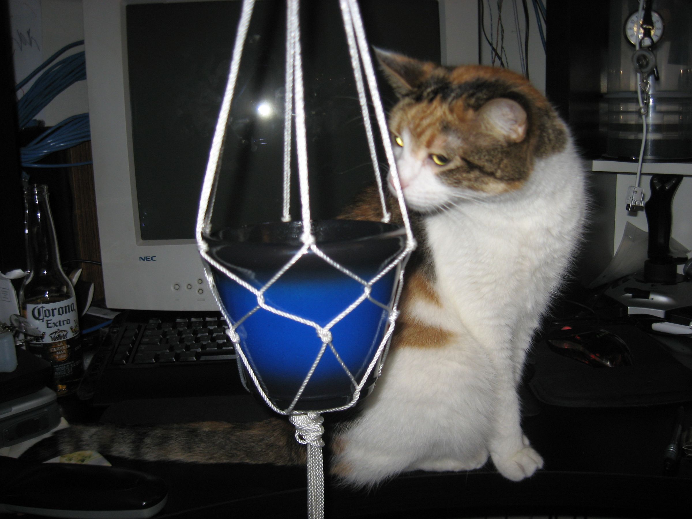 How to Make a Hanging Potted Plant Rope Holder Kinda 6 Steps