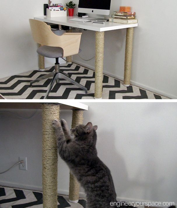 table leg cat scratcher