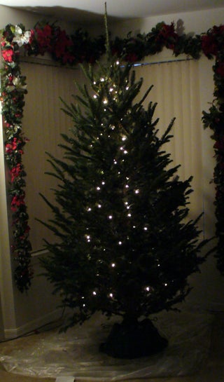 pics Vertical Lights On Christmas Tree christmas tree vertical vs horizontal