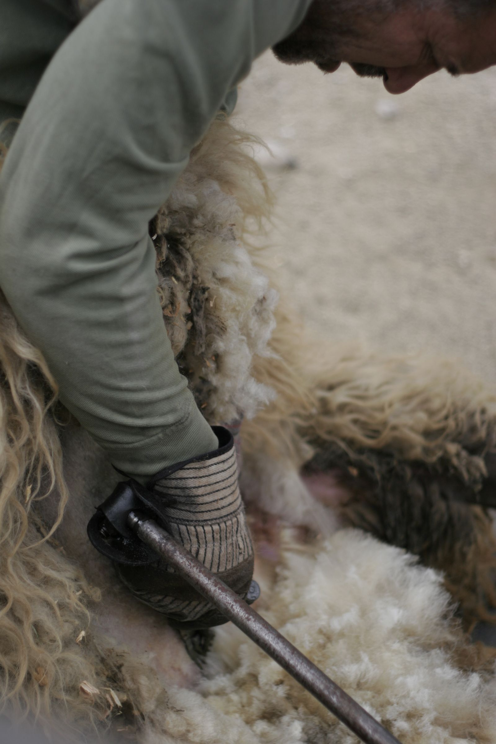 Wash Wool or Other Fibers for Spinning. 5 Steps (with Pictures) Instructables