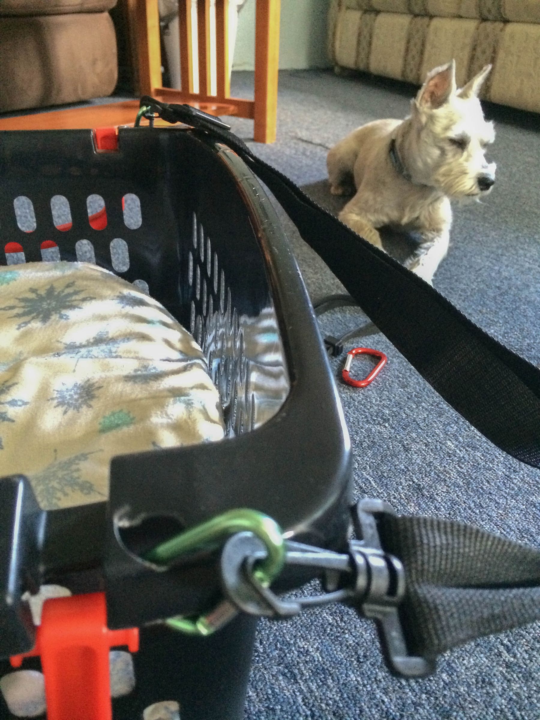 Cheap Safe Dog Car Seat 10 Steps (with Pictures) Instructables
