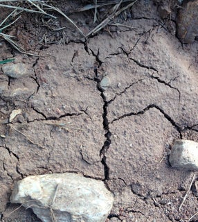 Saiba o que procurar...