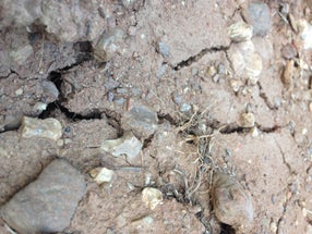 Saiba o que procurar...