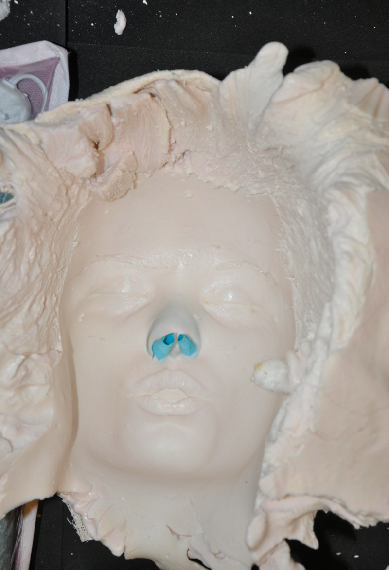 Alginate Mold Face 6 Steps (with Pictures) Instructables