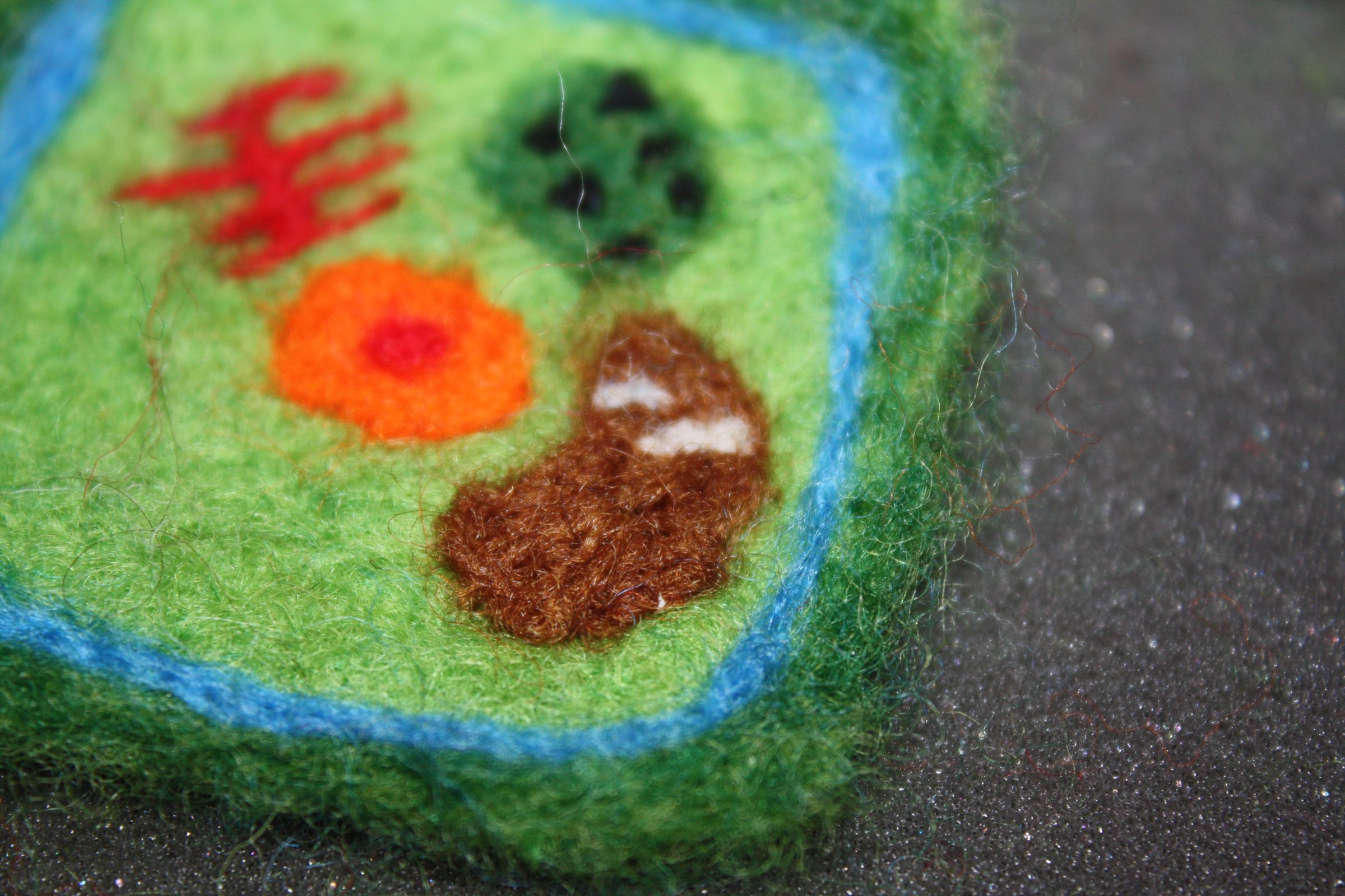 Needle Felted Plant Cell 11 Steps (with Pictures) Instructables