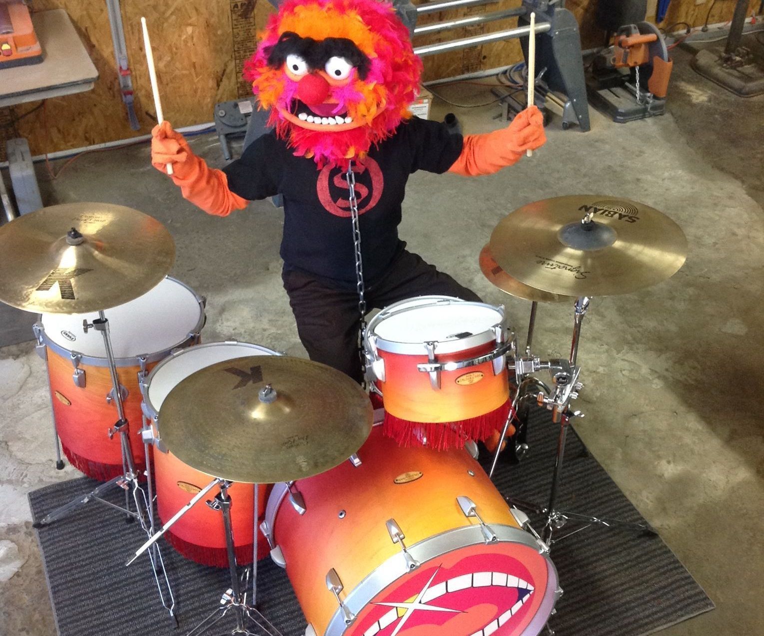 animal (muppet) - costume DIY Project DIY Project Image