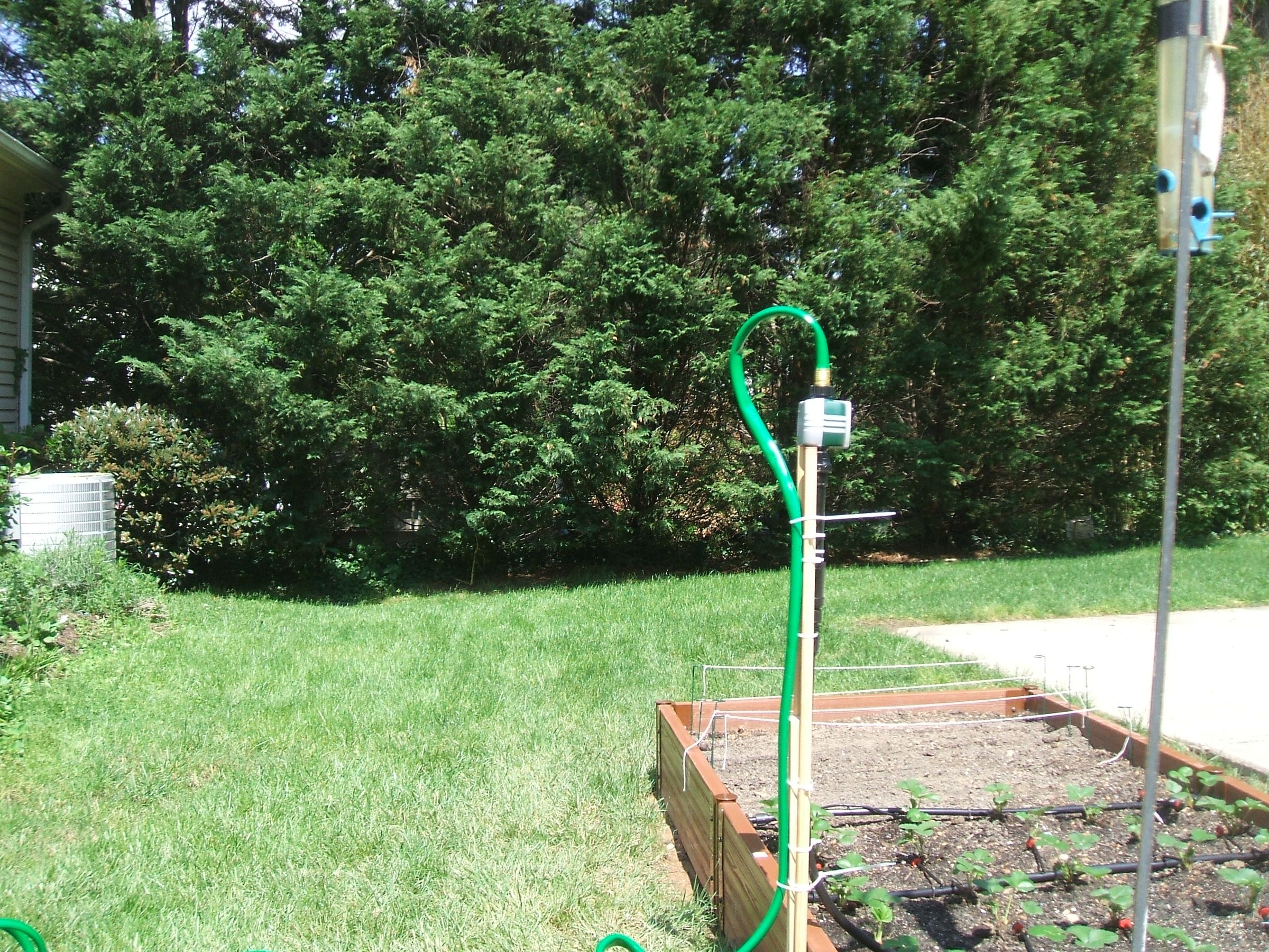 Drip Irrigation! Save the World by Saving Water! Instructables